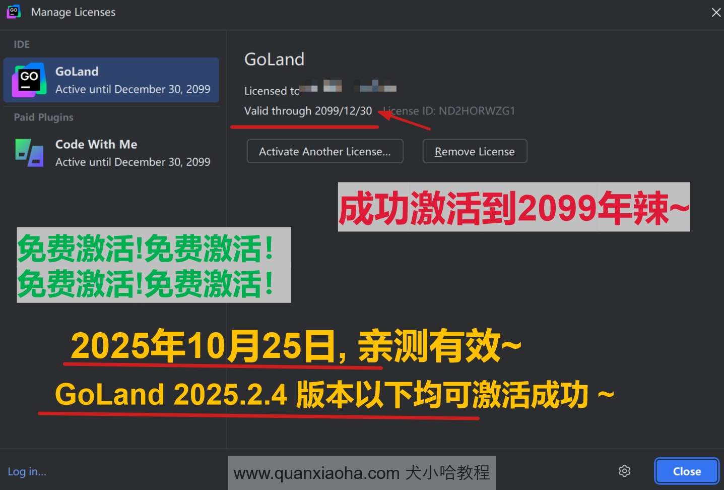 GoLand 2025.2.4 版本成功截图