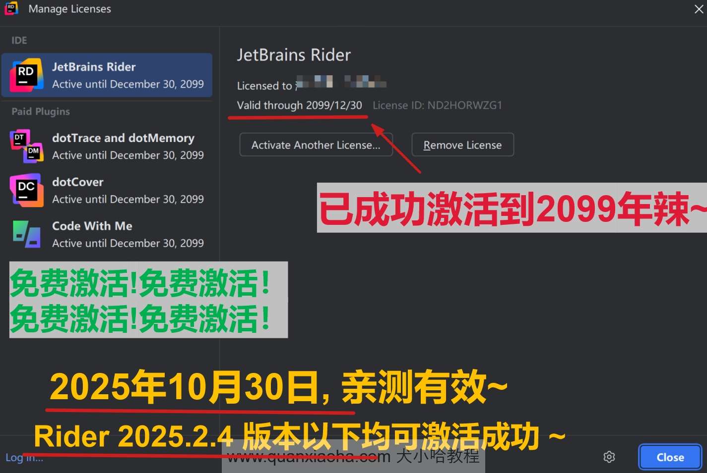 Rider 2025.2.4 版本成功截图
