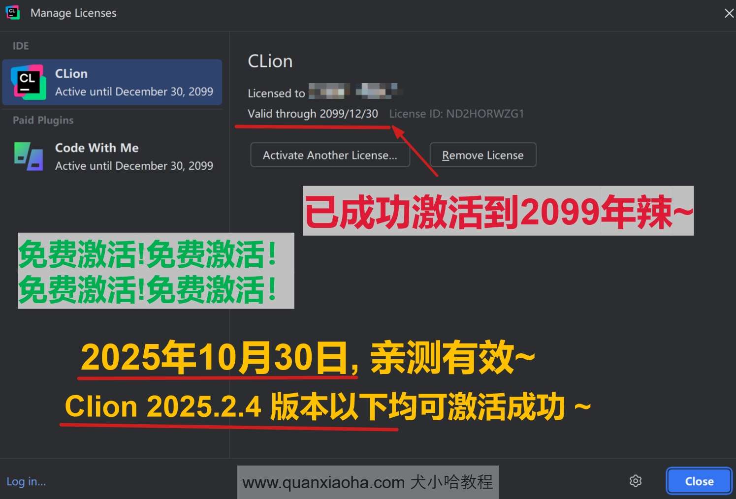 Clion 2025.2.4 版本成功截图