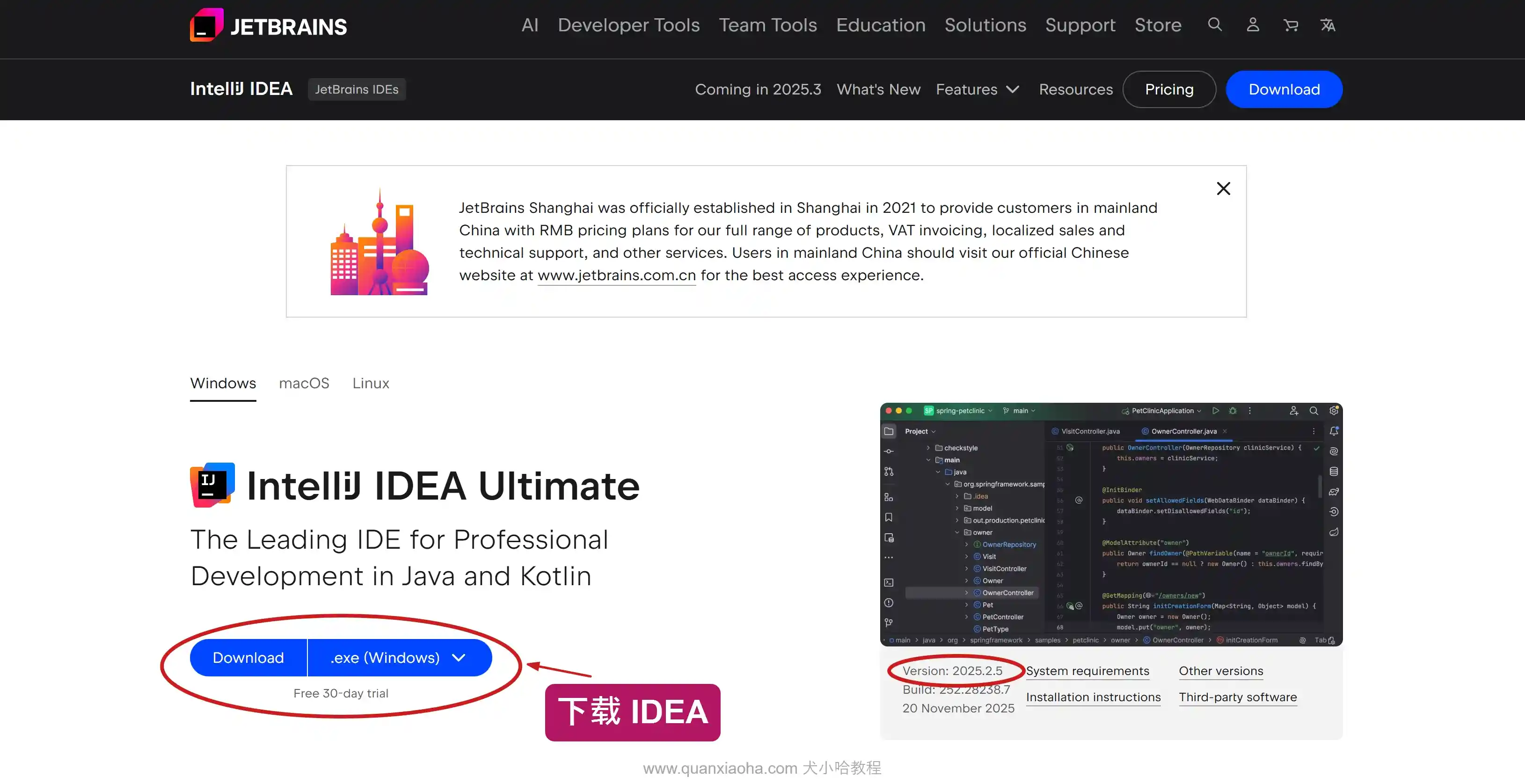 下载 IDEA 2025.2.5 版本安装包