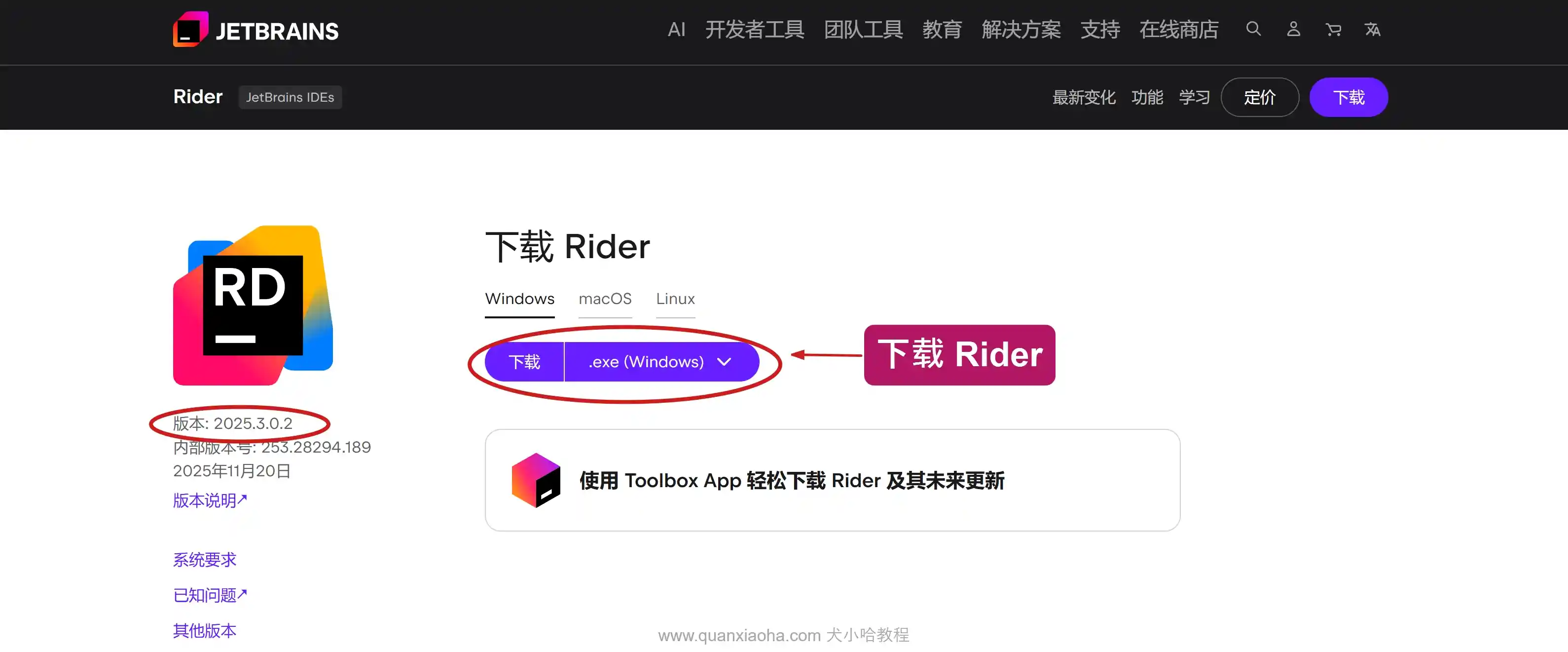 下载 Rider 2025.3.0.2 版本安装包