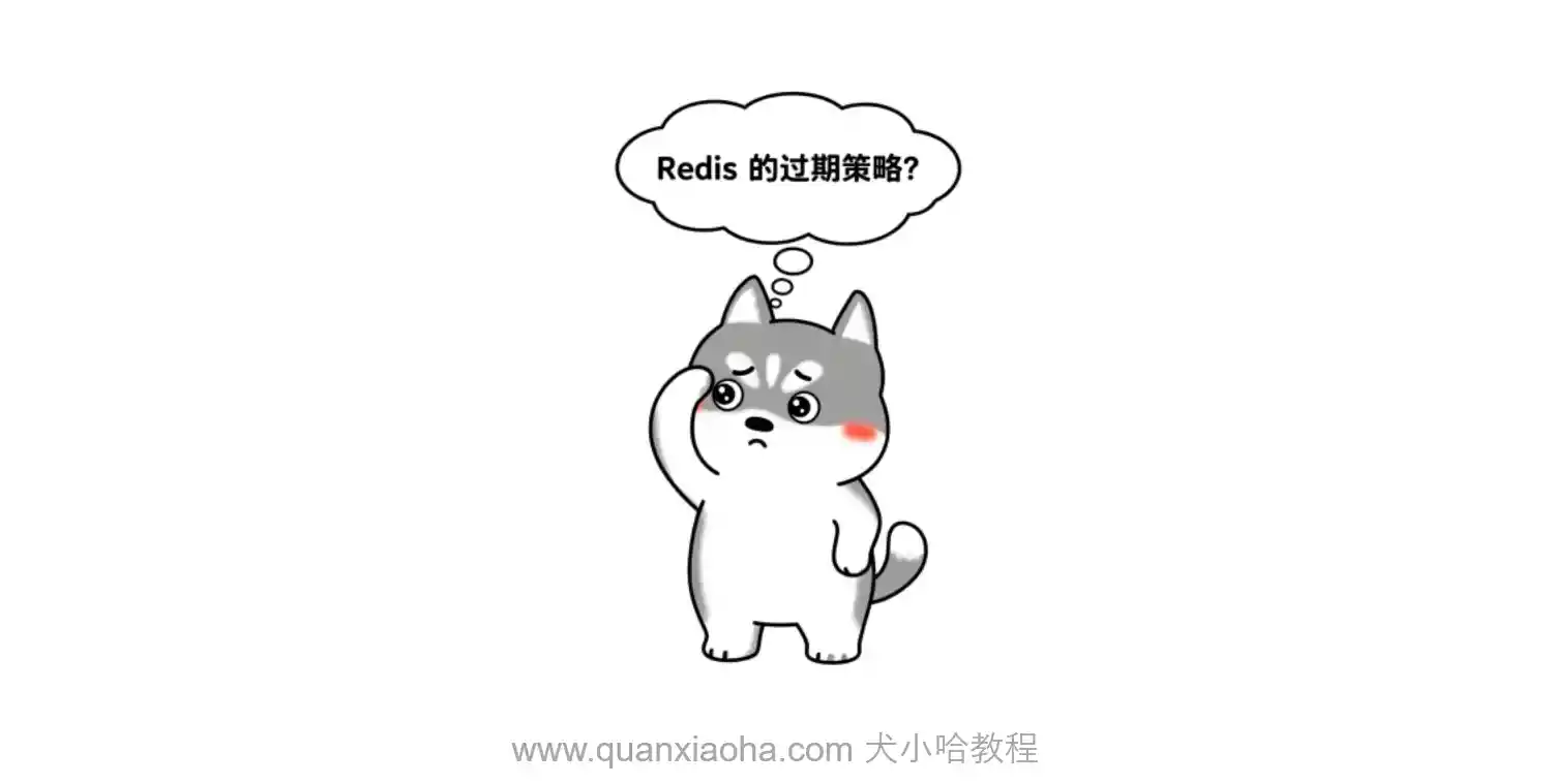 谈谈 Redis 的过期策略？