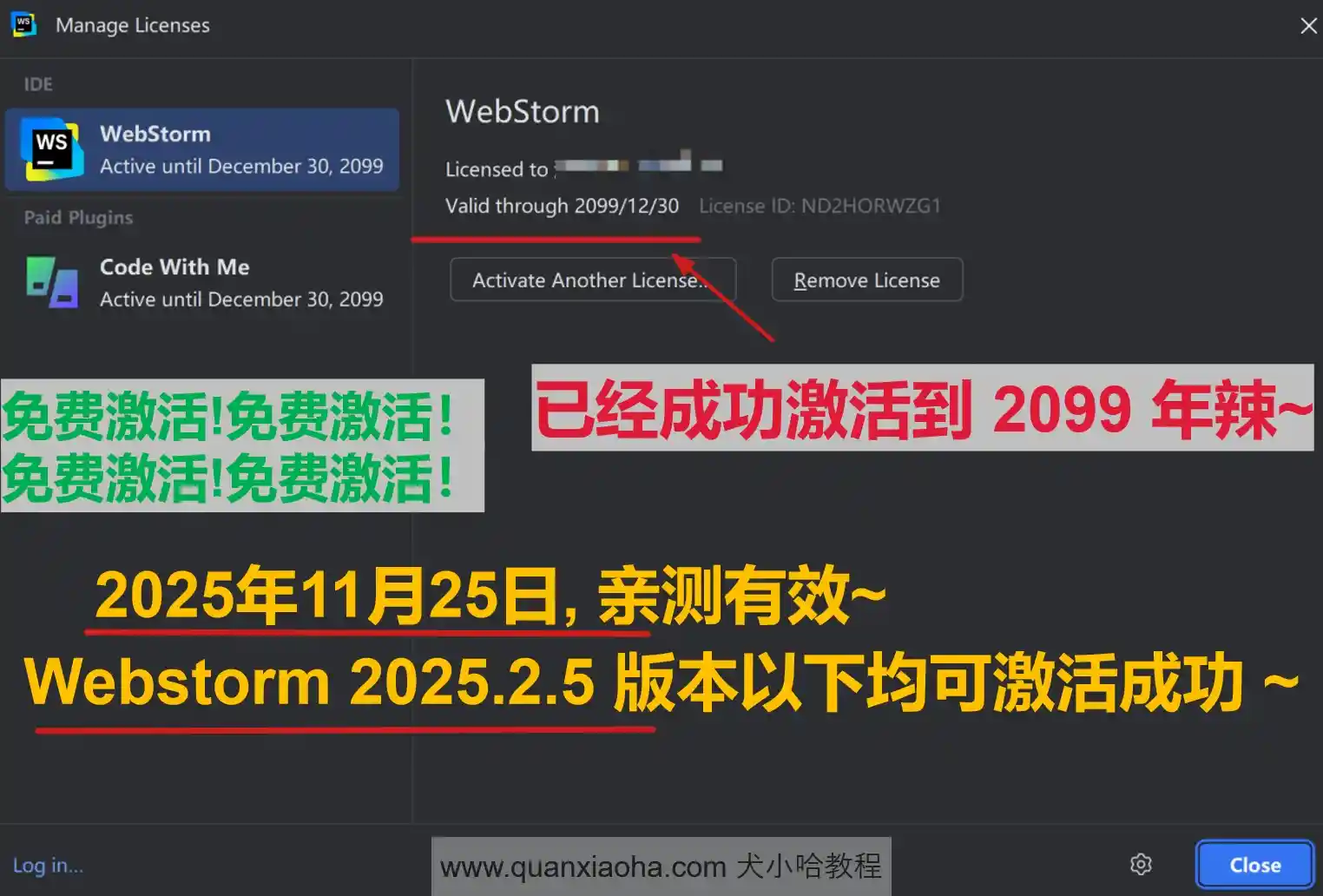 Webstorm 2025.2.5 版本成功激活到 2099 年截图