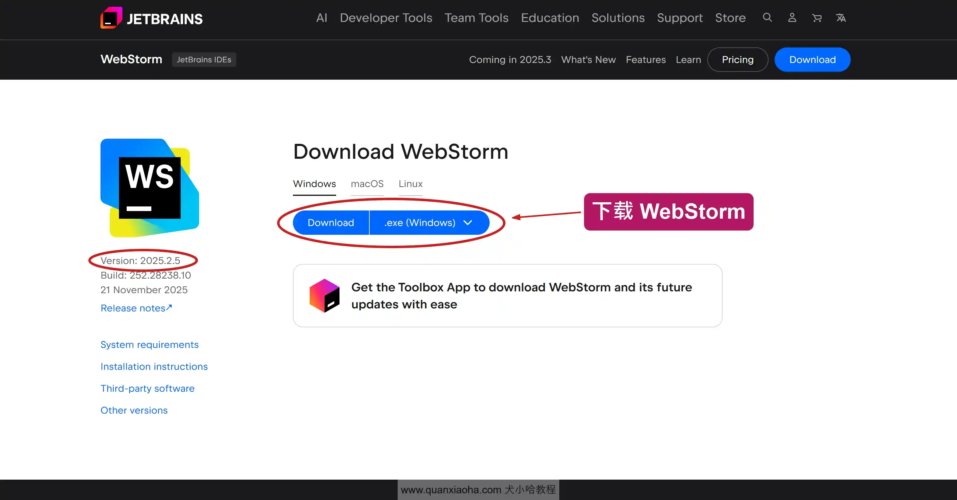 下载 Webstorm 2025.2.5 版本安装包