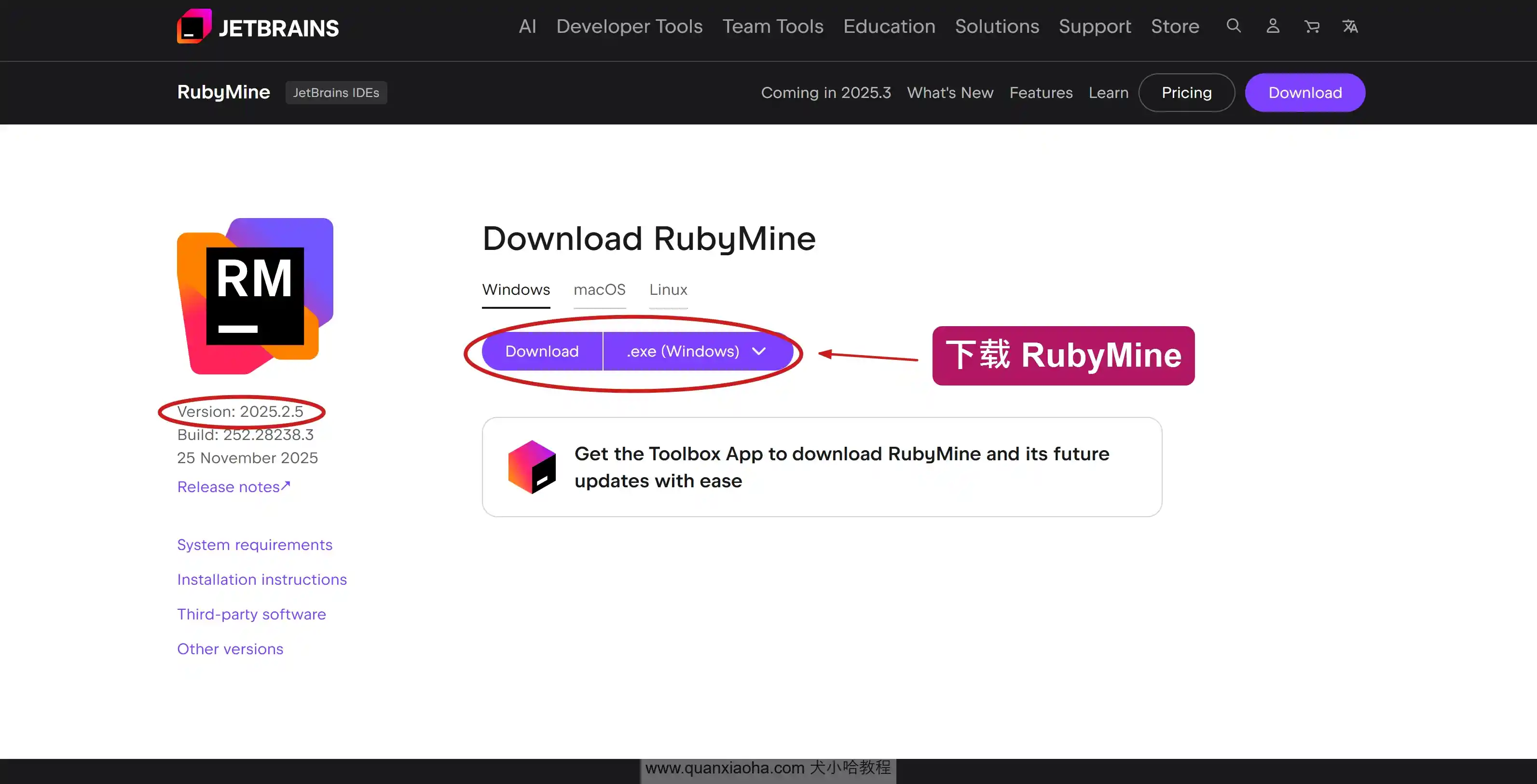 下载 RubyMine 2025.2.5 版本安装包