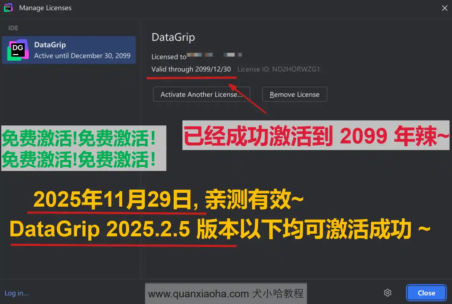 DataGrip 2025.2.5 版本成功激活到 2099 年截图