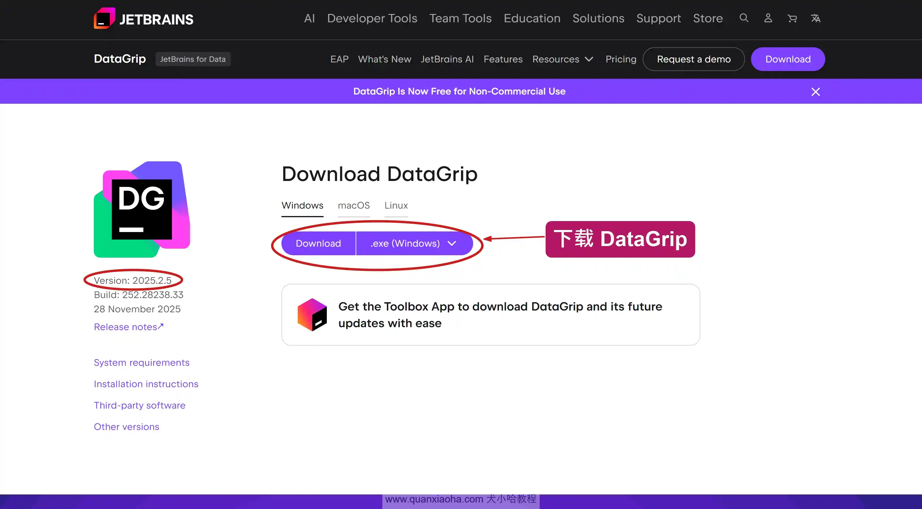 下载 DataGrip 2025.2.5 版本安装包