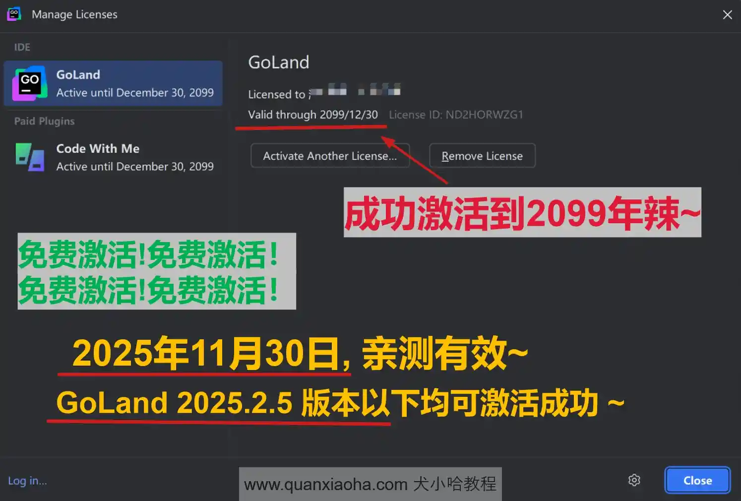 GoLand 2025.2.5 版本成功截图