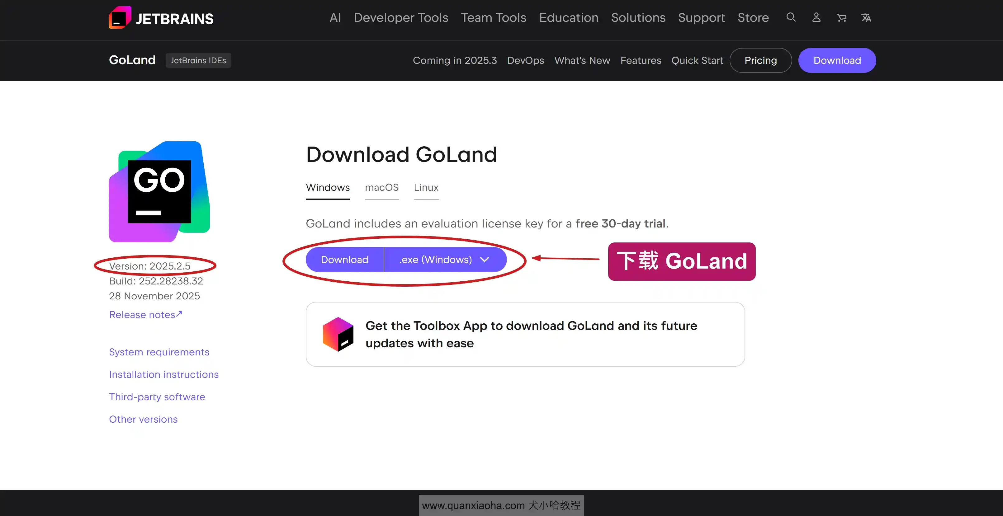 下载 GoLand 2025.2.5 版本安装包