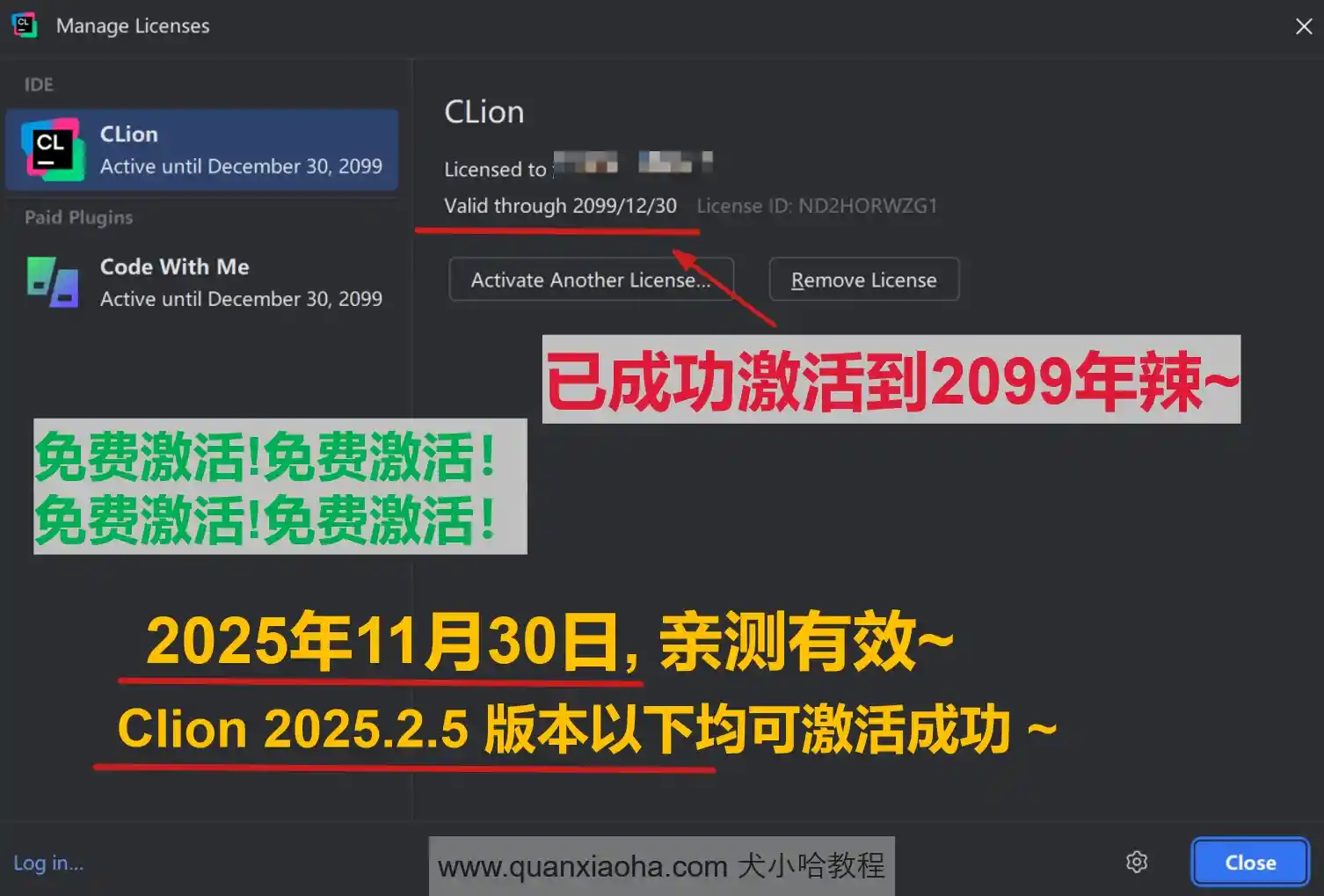 Clion 2025.2.5 版本成功截图