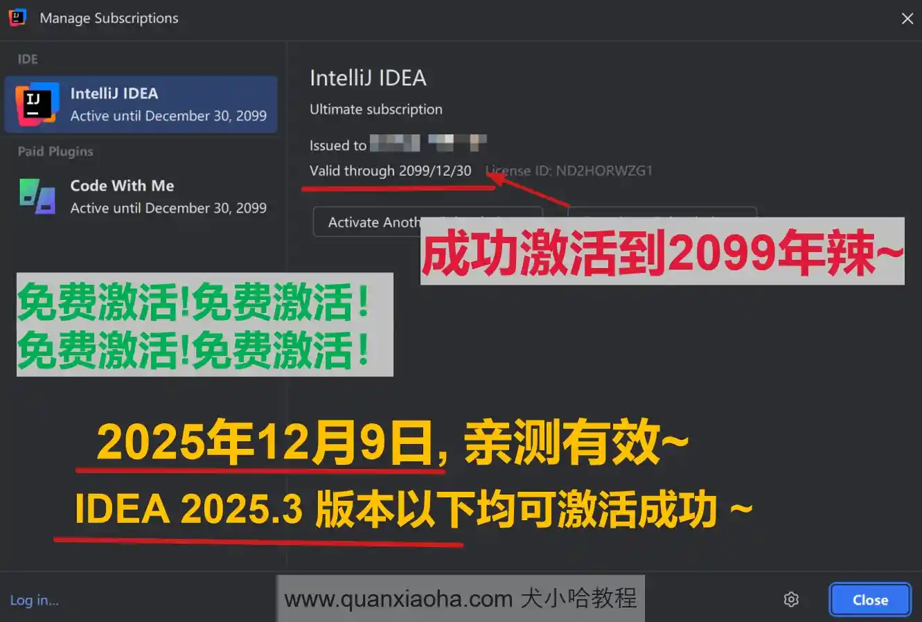 IDEA 2025.3 版本成功激活到 2099 年截图