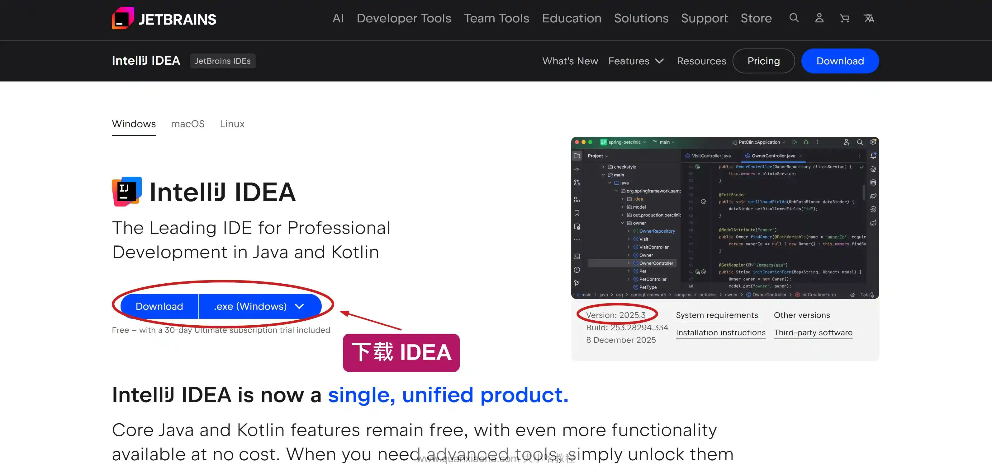 下载 IDEA 2025.3 版本安装包