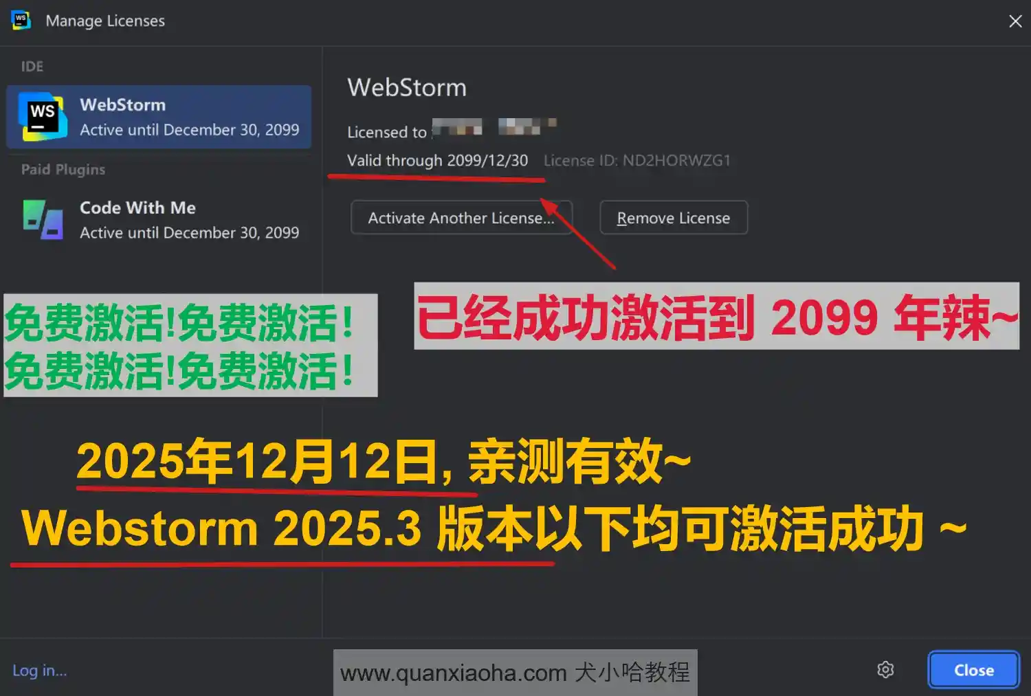 Webstorm 2025.3 版本成功激活到 2099 年截图