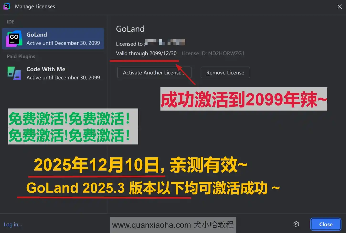 GoLand 2025.3 版本成功截图