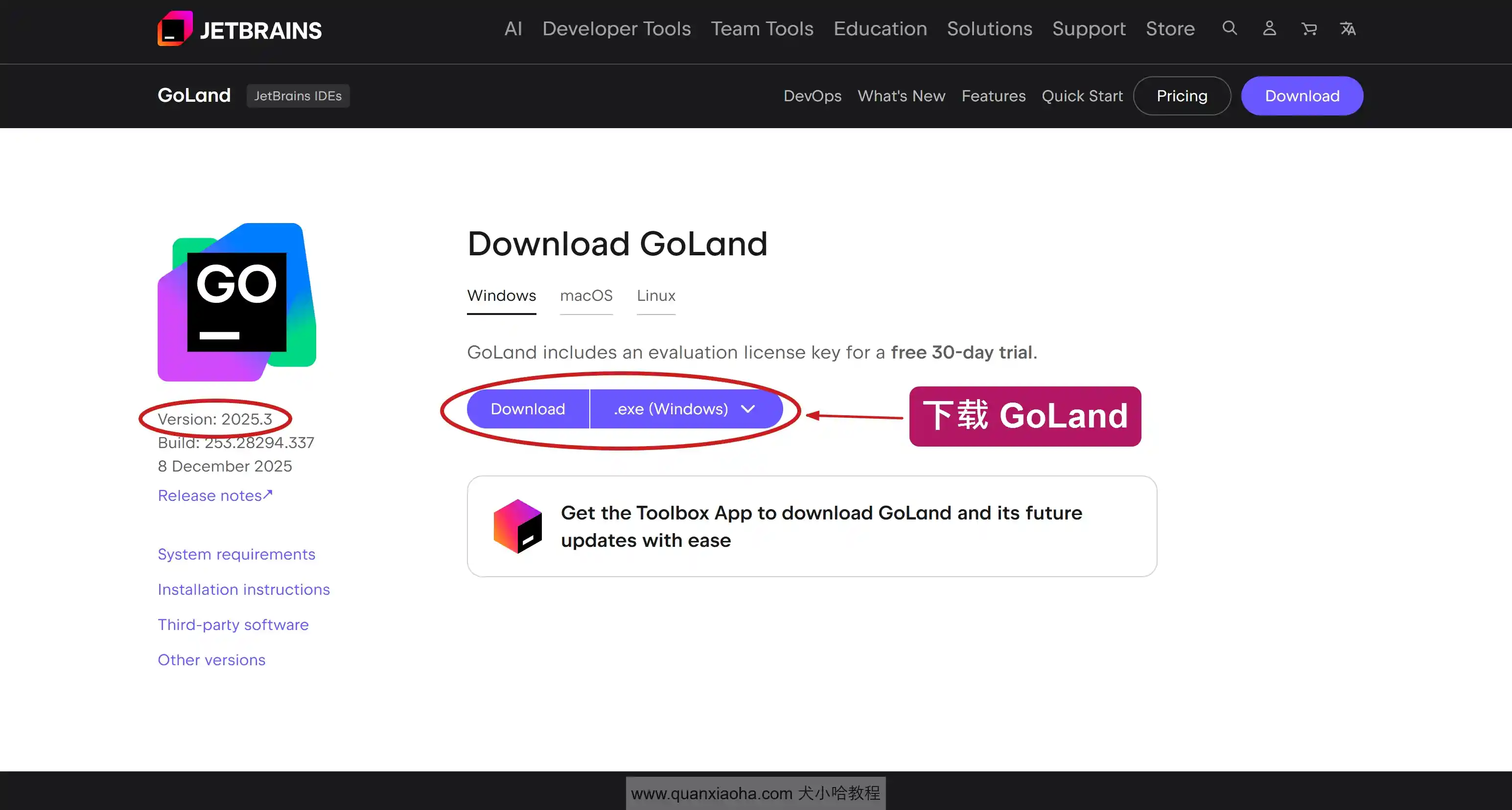 下载 GoLand 2025.3 版本安装包