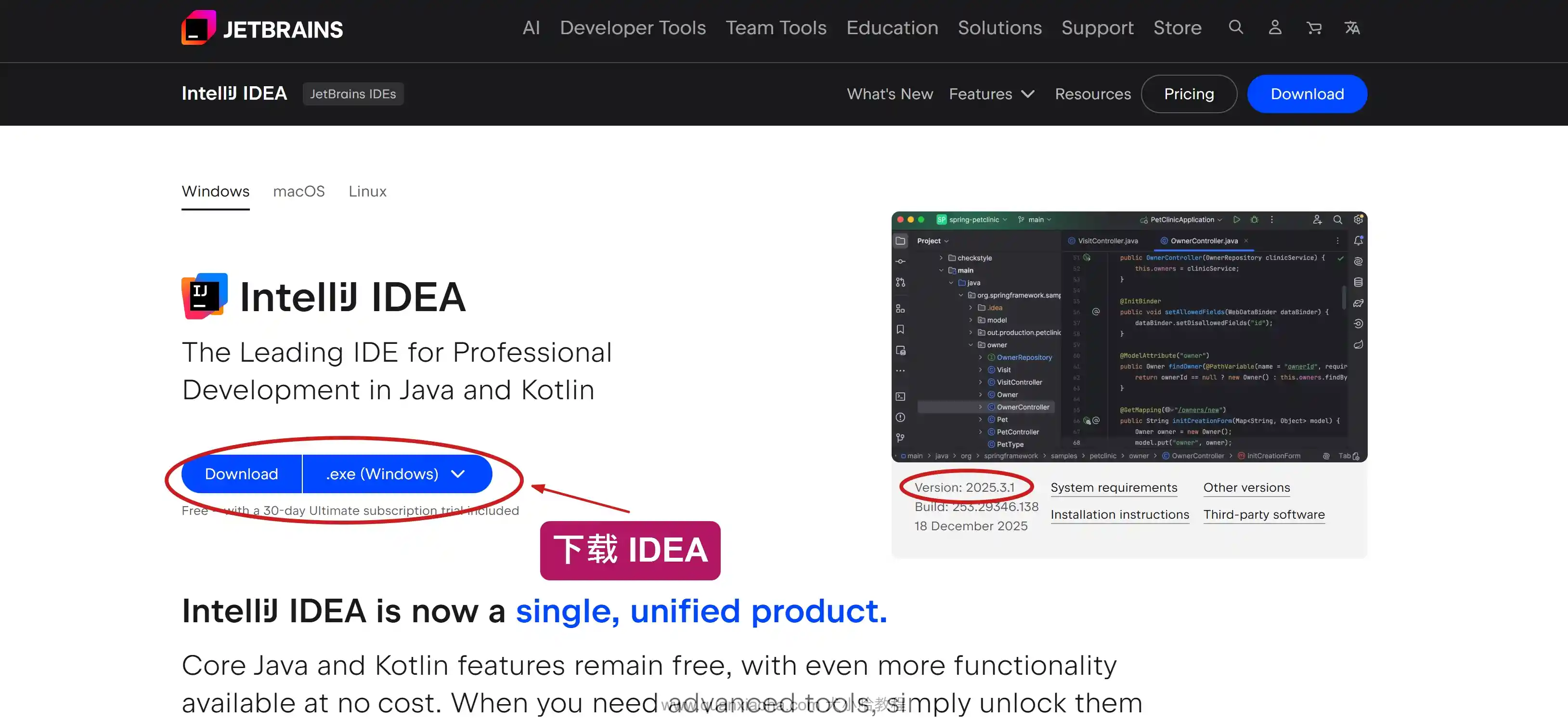 下载 IDEA 2025.3.1 版本安装包