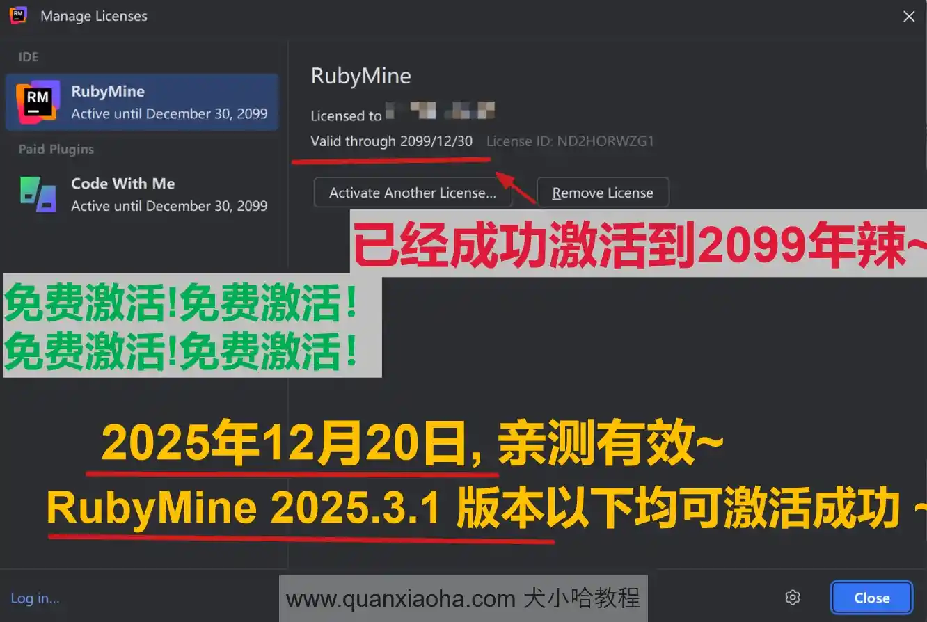 RubyMine 2025.3.1 版本成功截图
