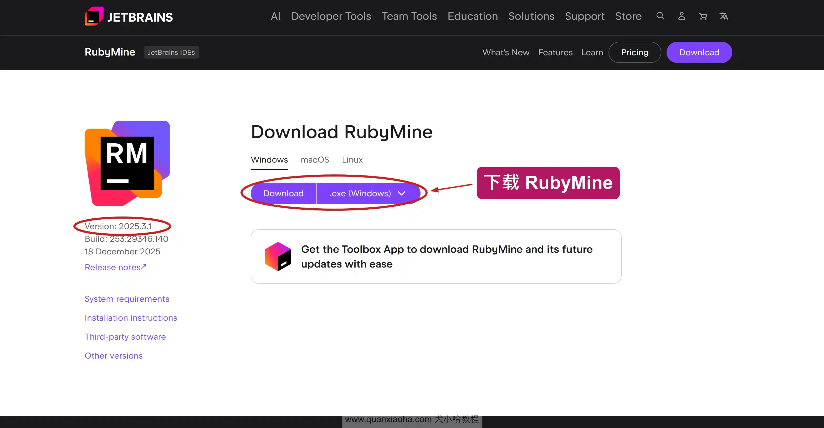 下载 RubyMine 2025.3.1 版本安装包