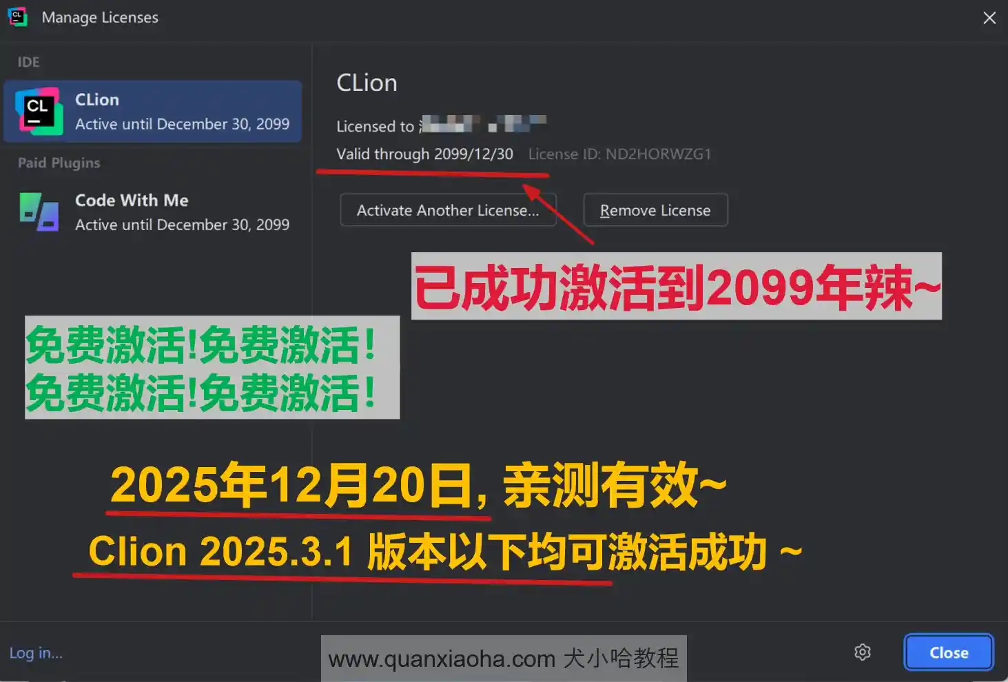 Clion 2025.3.1 版本成功截图