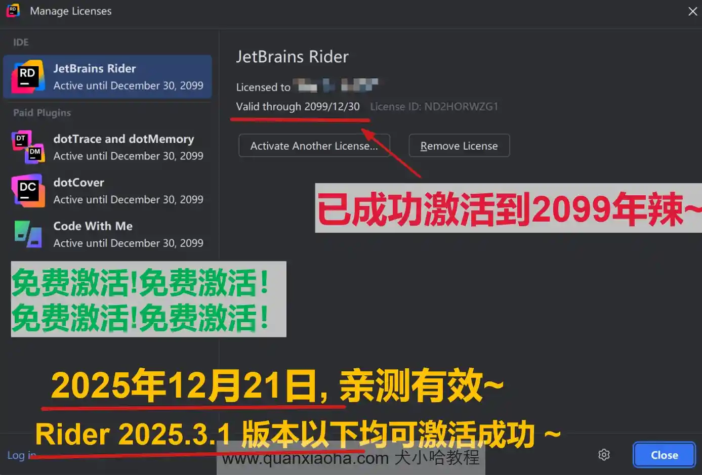 Rider 2025.3.1 版本成功截图
