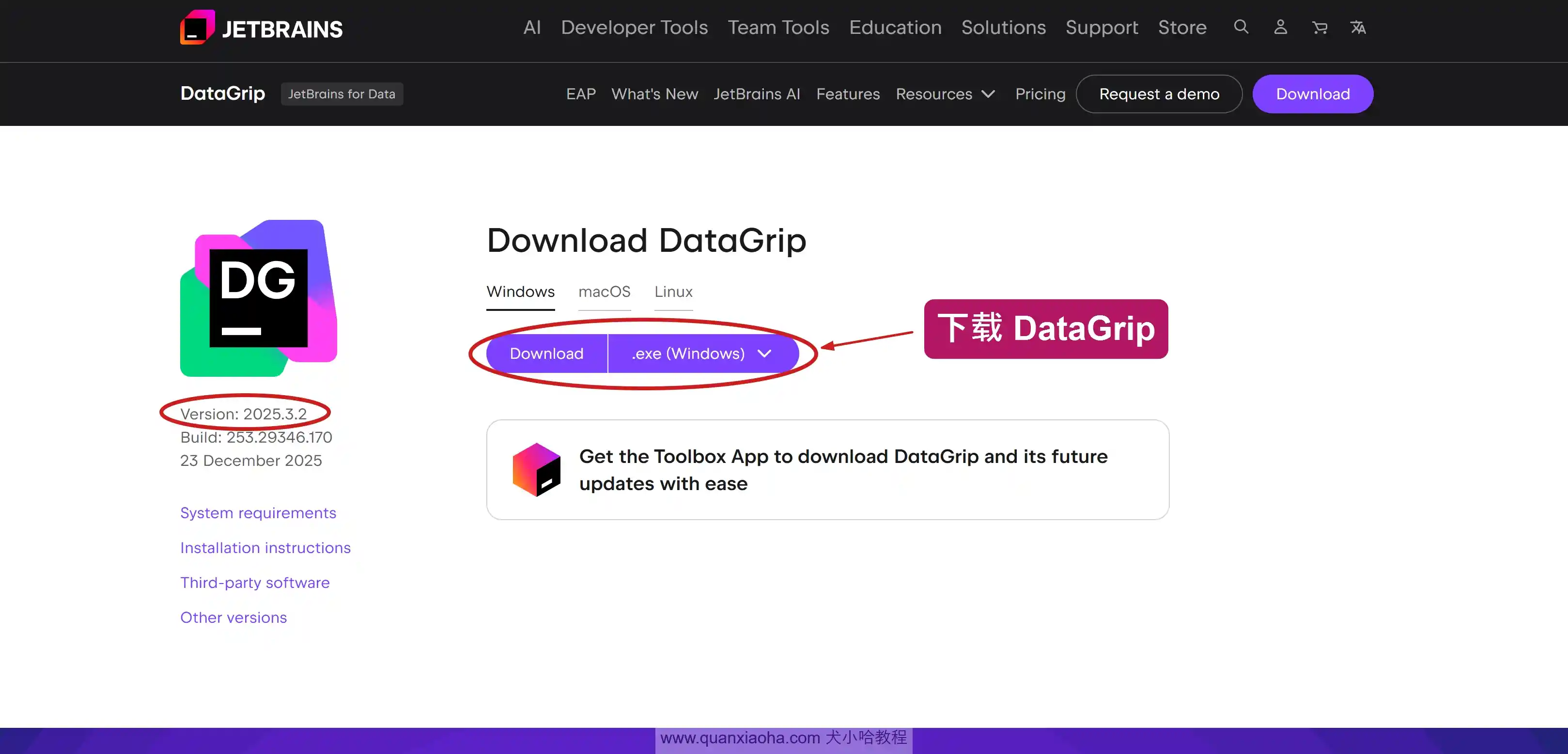 下载 DataGrip 2025.3.2 版本安装包