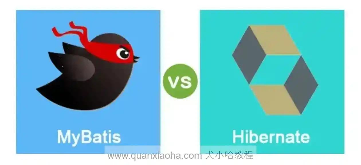 MyBatis 和 Hibernate 有什么区别？