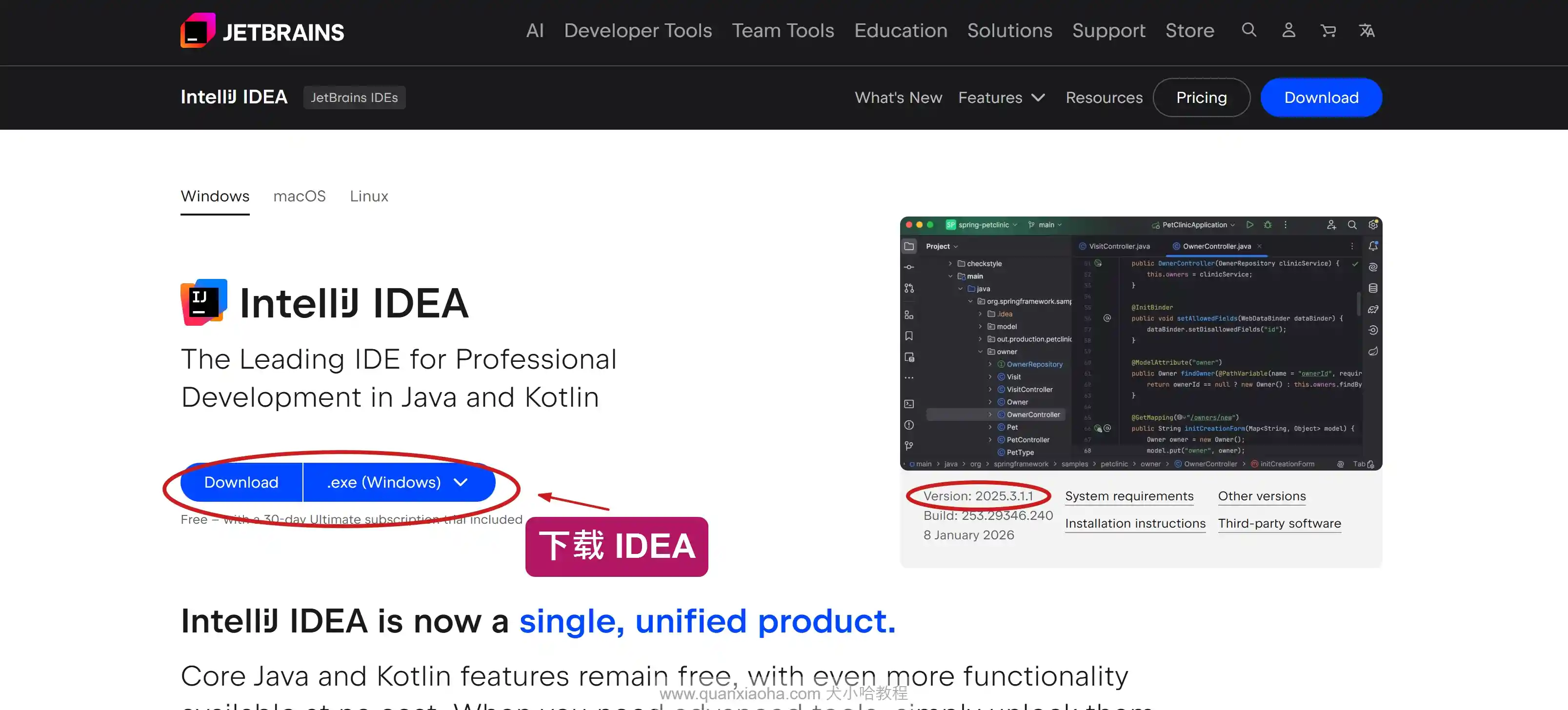 下载 IDEA 2025.3.1.1 版本安装包