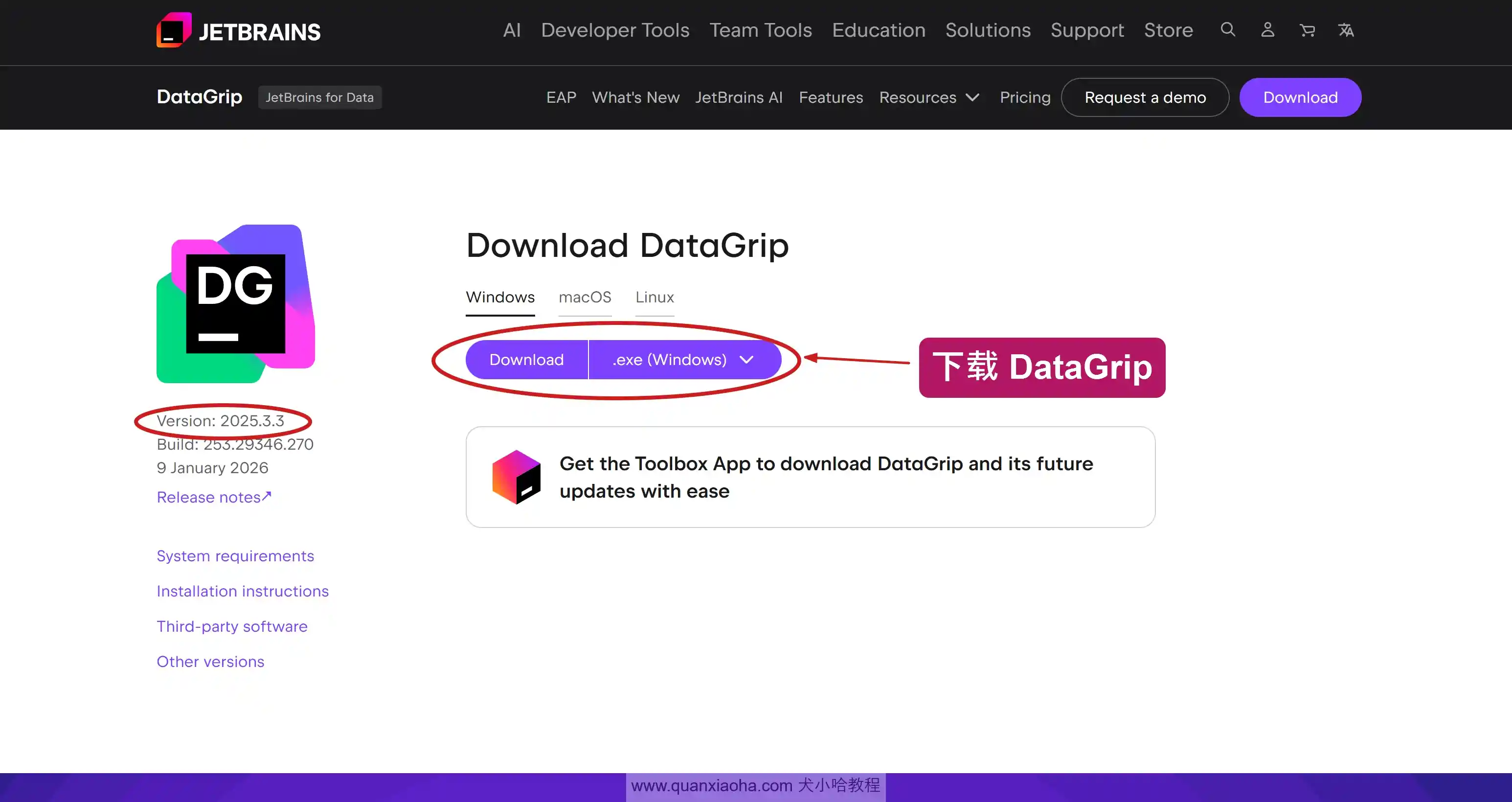 下载 DataGrip 2025.3.3 版本安装包