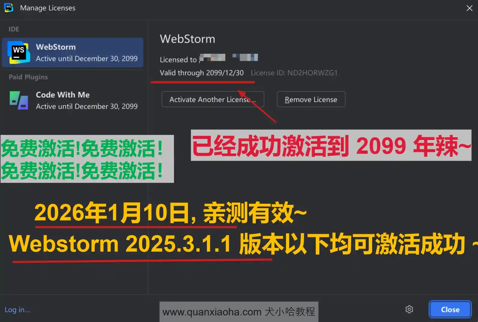 Webstorm 2025.3.1.1 版本成功激活到 2099 年截图