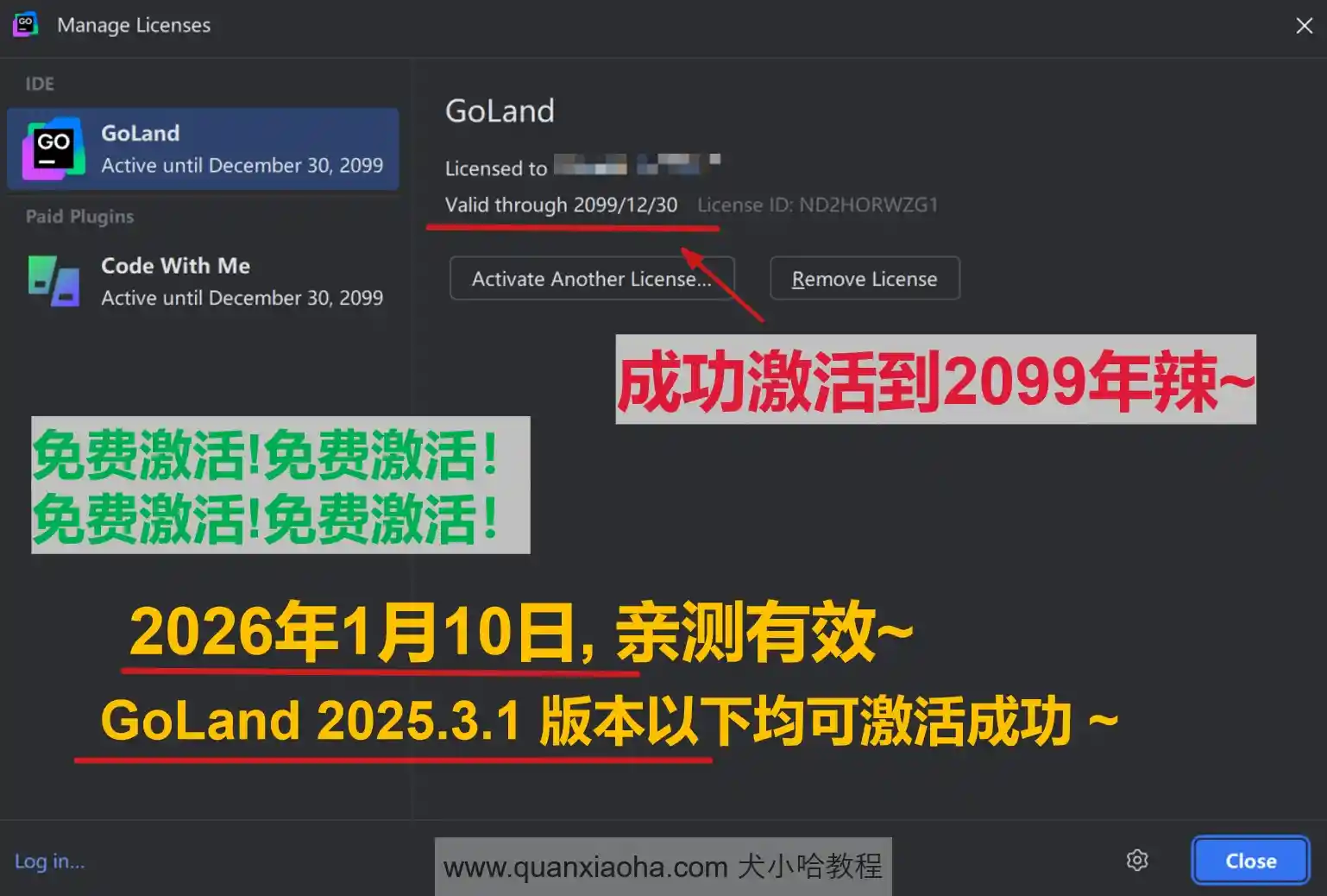 GoLand 2025.3.1 版本成功截图