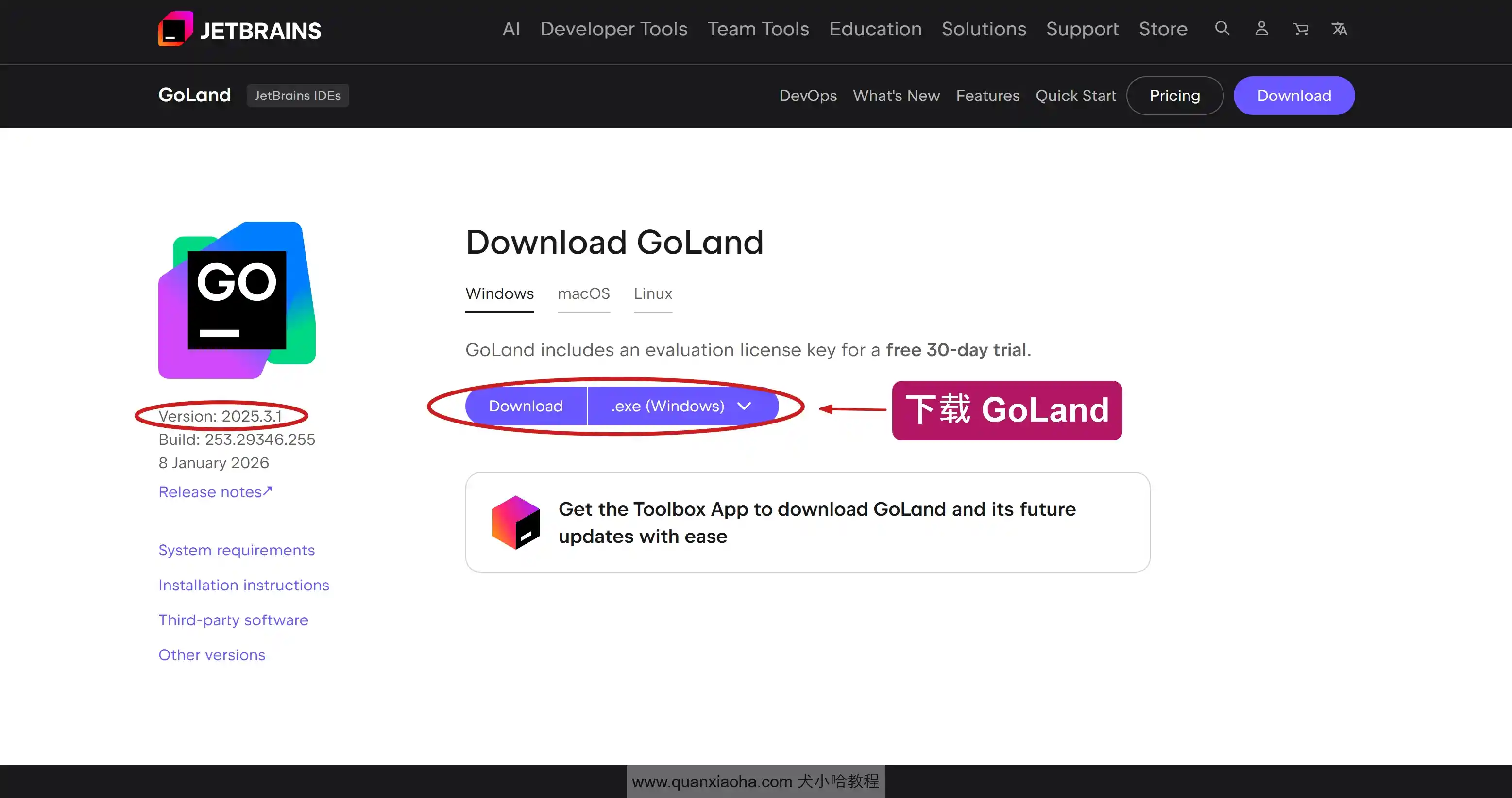 下载 GoLand 2025.3.1 版本安装包
