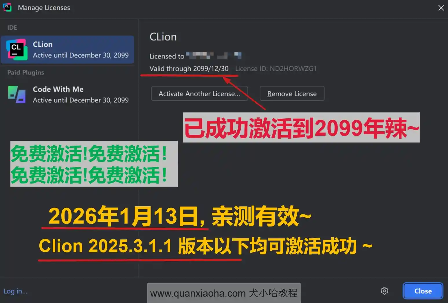 Clion 2025.3.1.1 版本成功截图