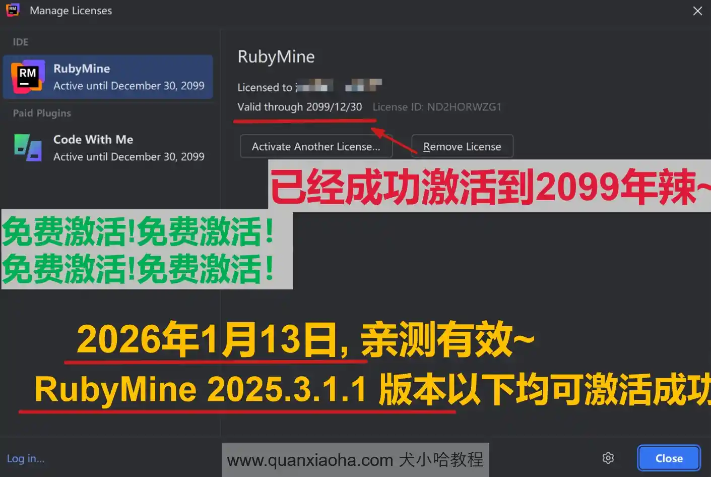 RubyMine 2025.3.1.1 版本成功截图
