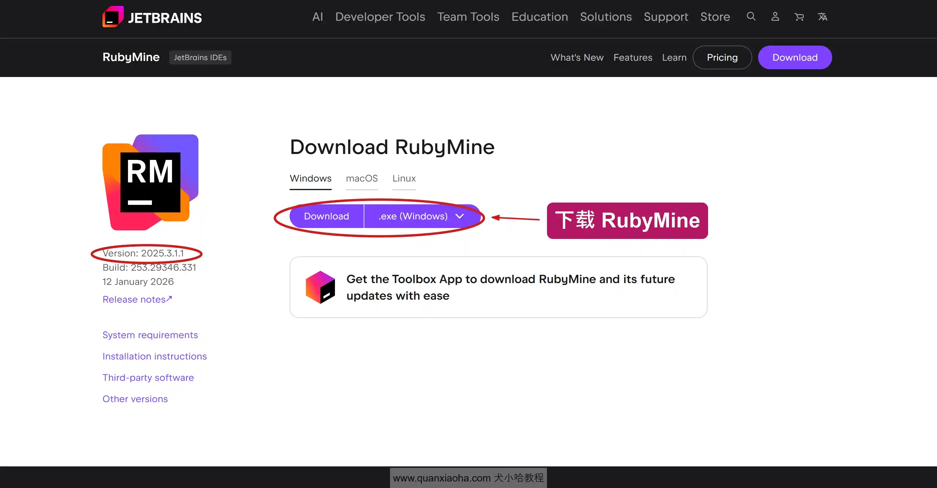 下载 RubyMine 2025.3.1.1 版本安装包