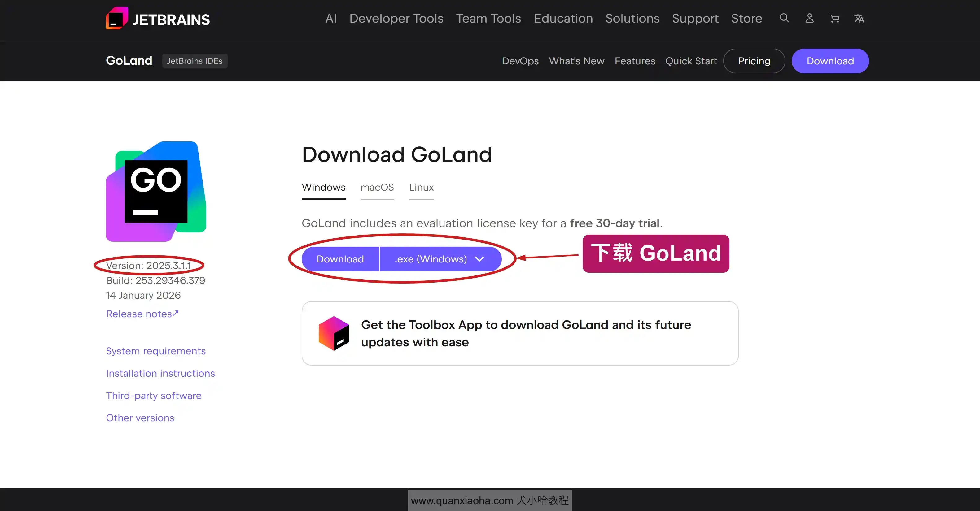 下载 GoLand 2025.3.1.1 版本安装包
