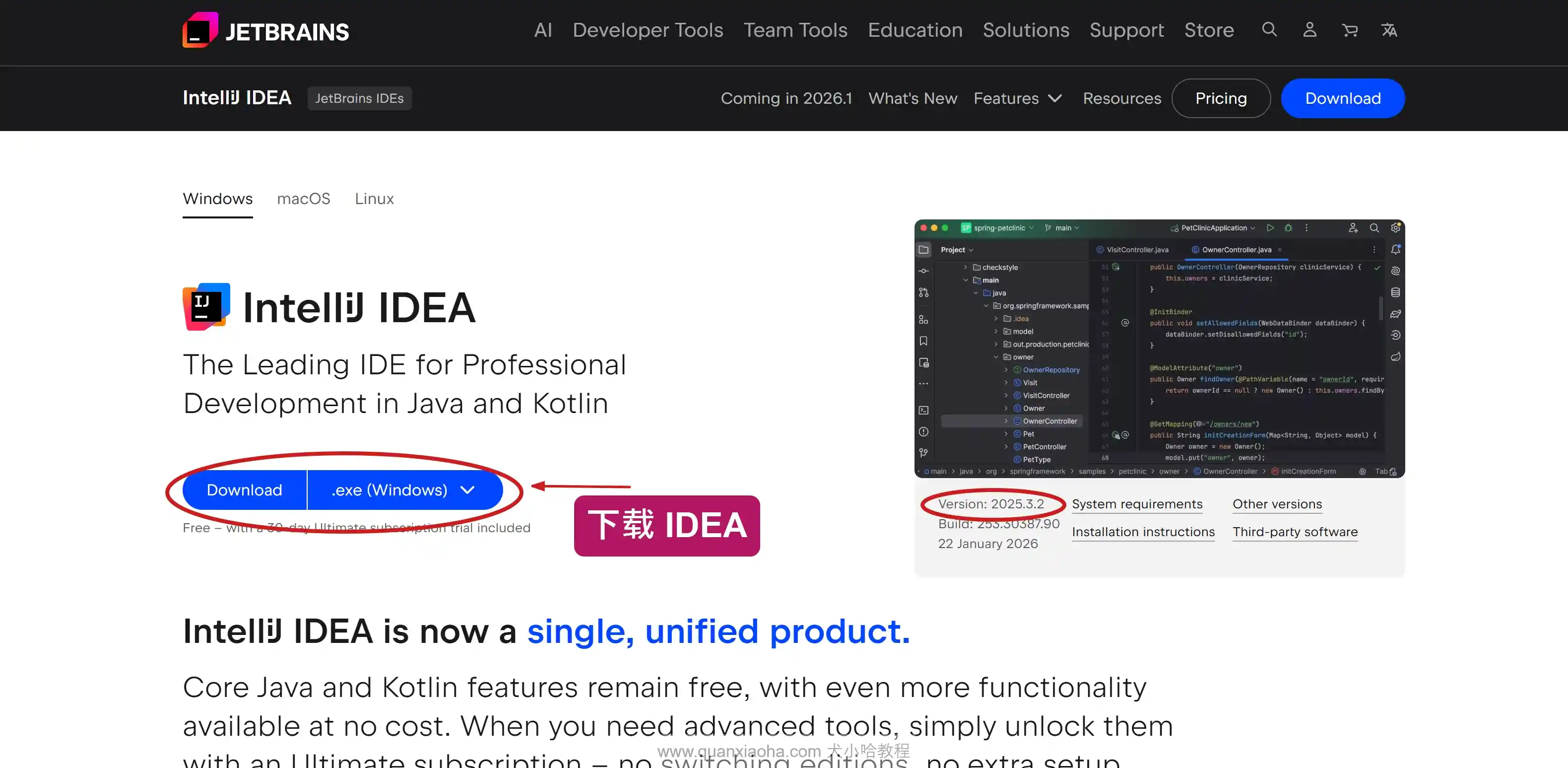 下载 IDEA 2025.3.2 版本安装包