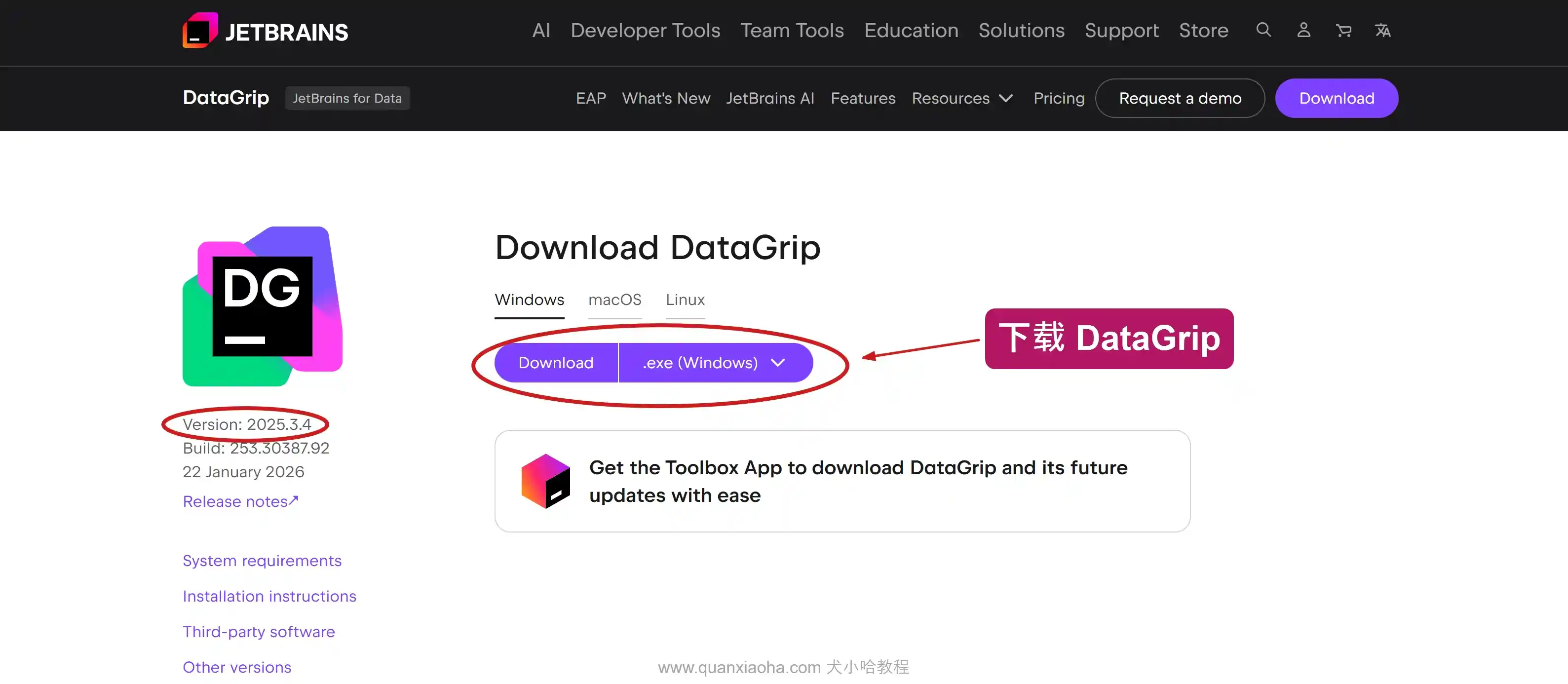 下载 DataGrip 2025.3.4 版本安装包