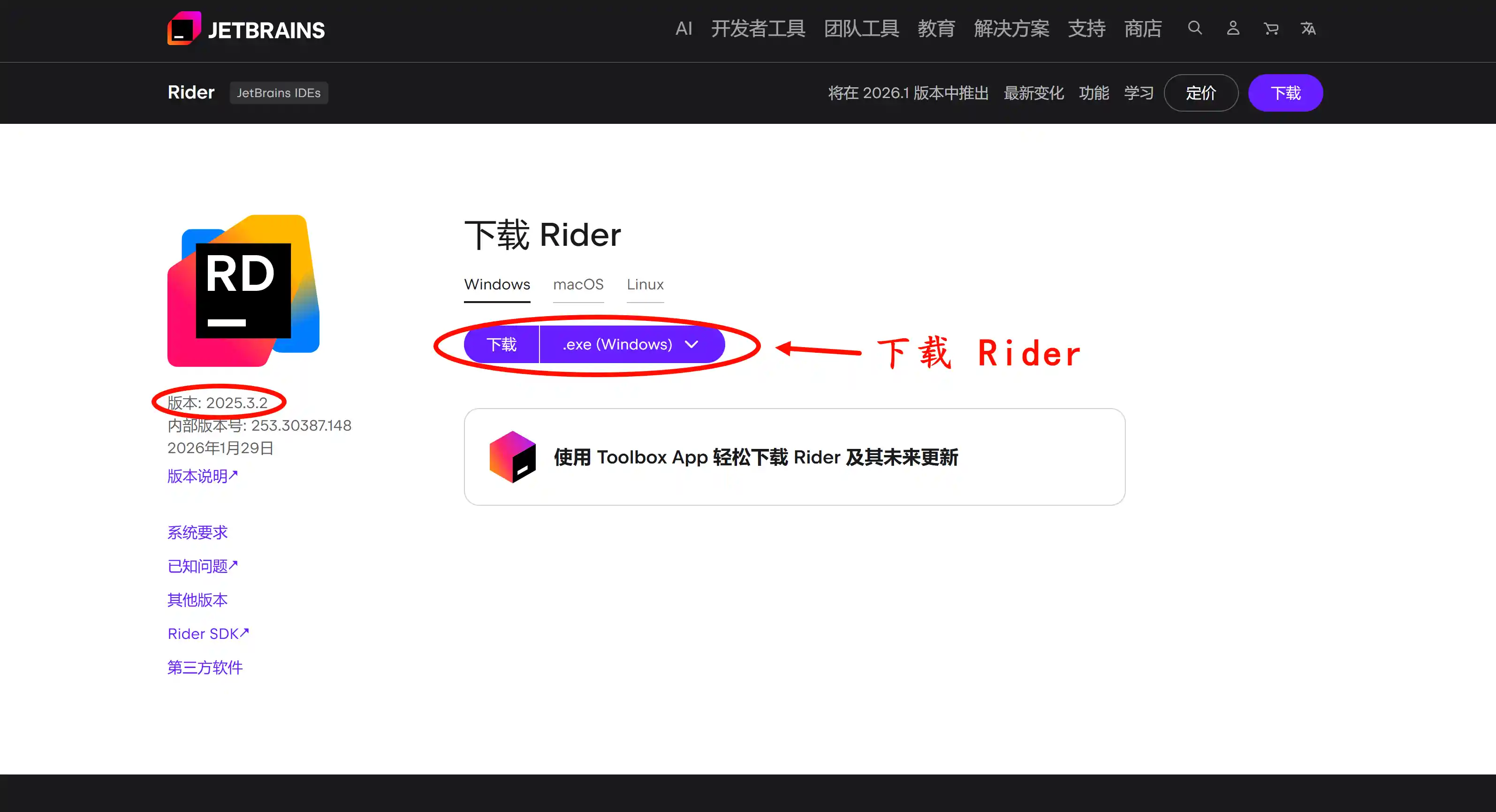 下载 Rider 2025.3.2 版本安装包