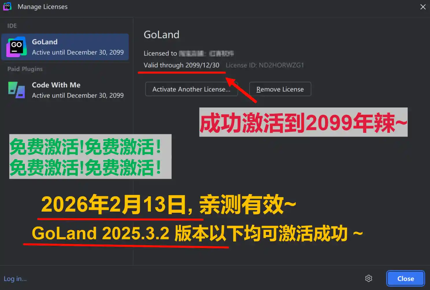 GoLand 2025.3.2 版本成功截图