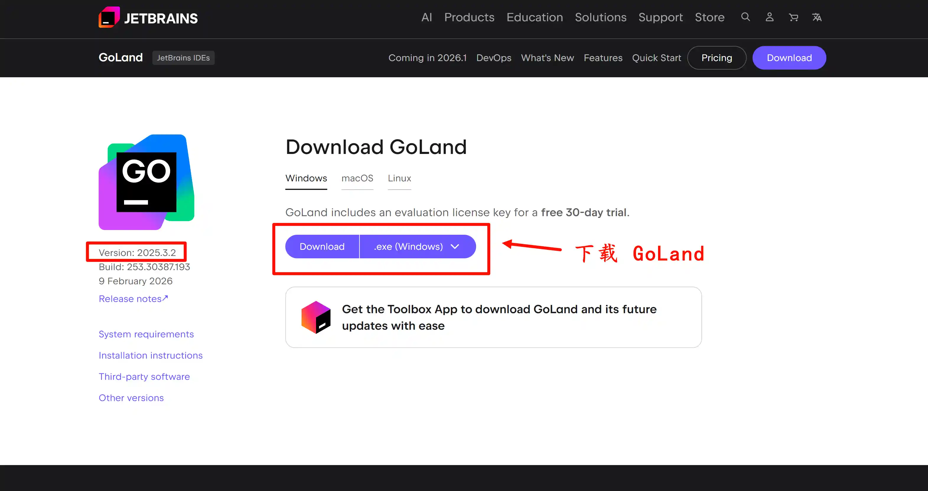 下载 GoLand 2025.3.2 版本安装包