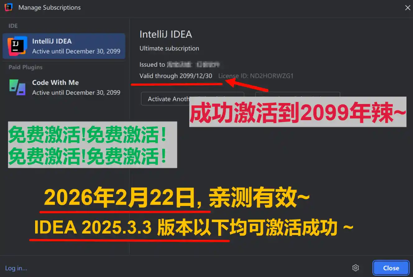IDEA 2025.3.3 版本成功激活到 2099 年截图