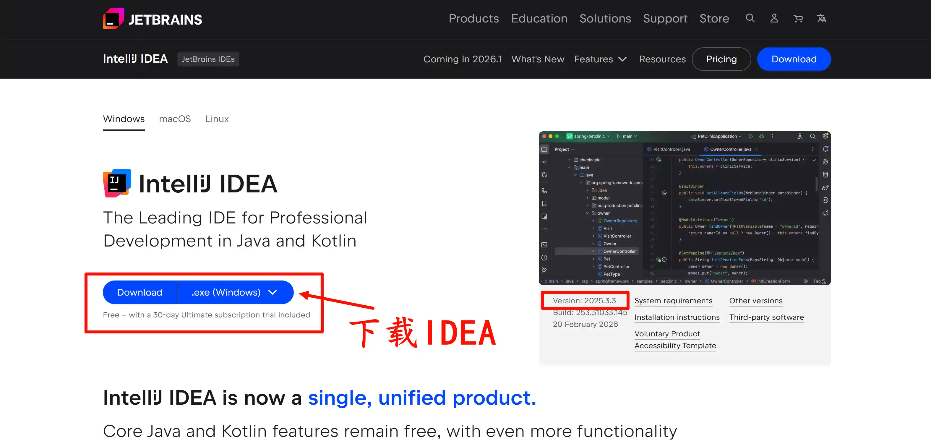 下载 IDEA 2025.3.3 版本安装包