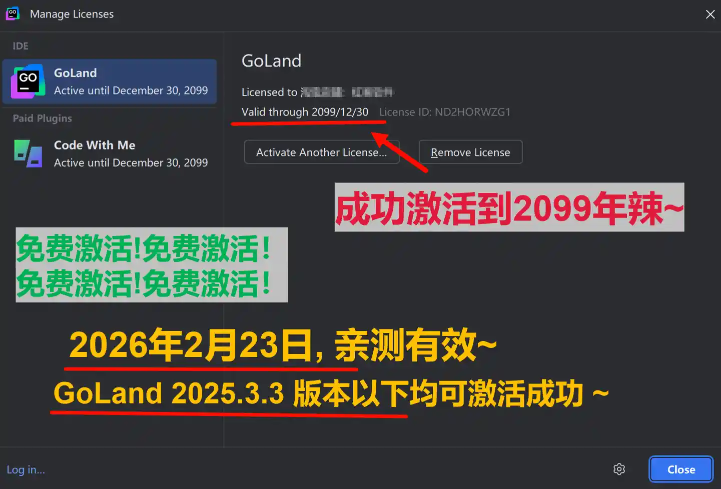 GoLand 2025.3.3 版本成功截图