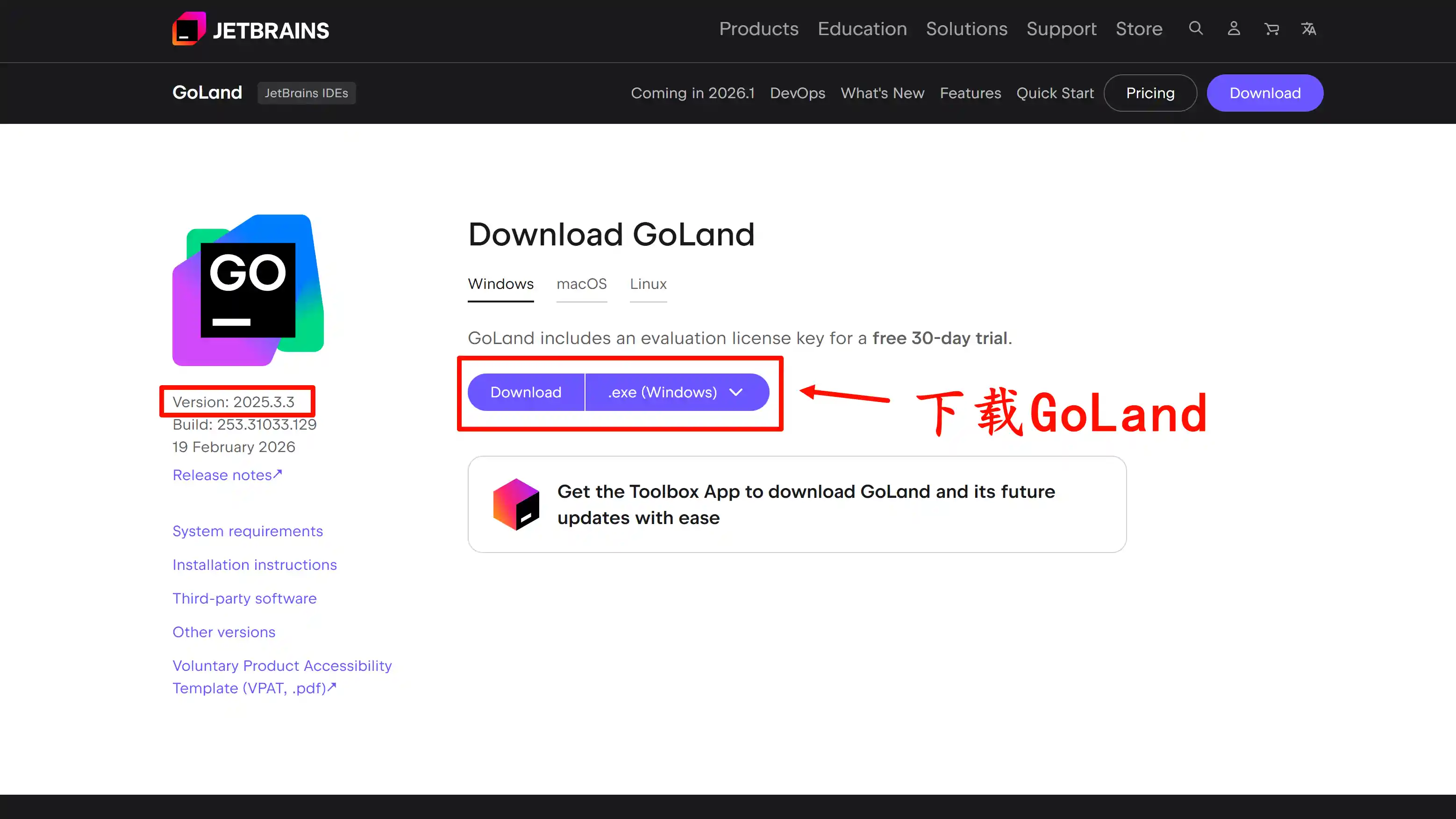 下载 GoLand 2025.3.3 版本安装包