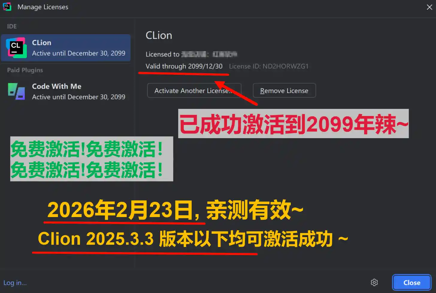 Clion 2025.3.3 版本成功截图