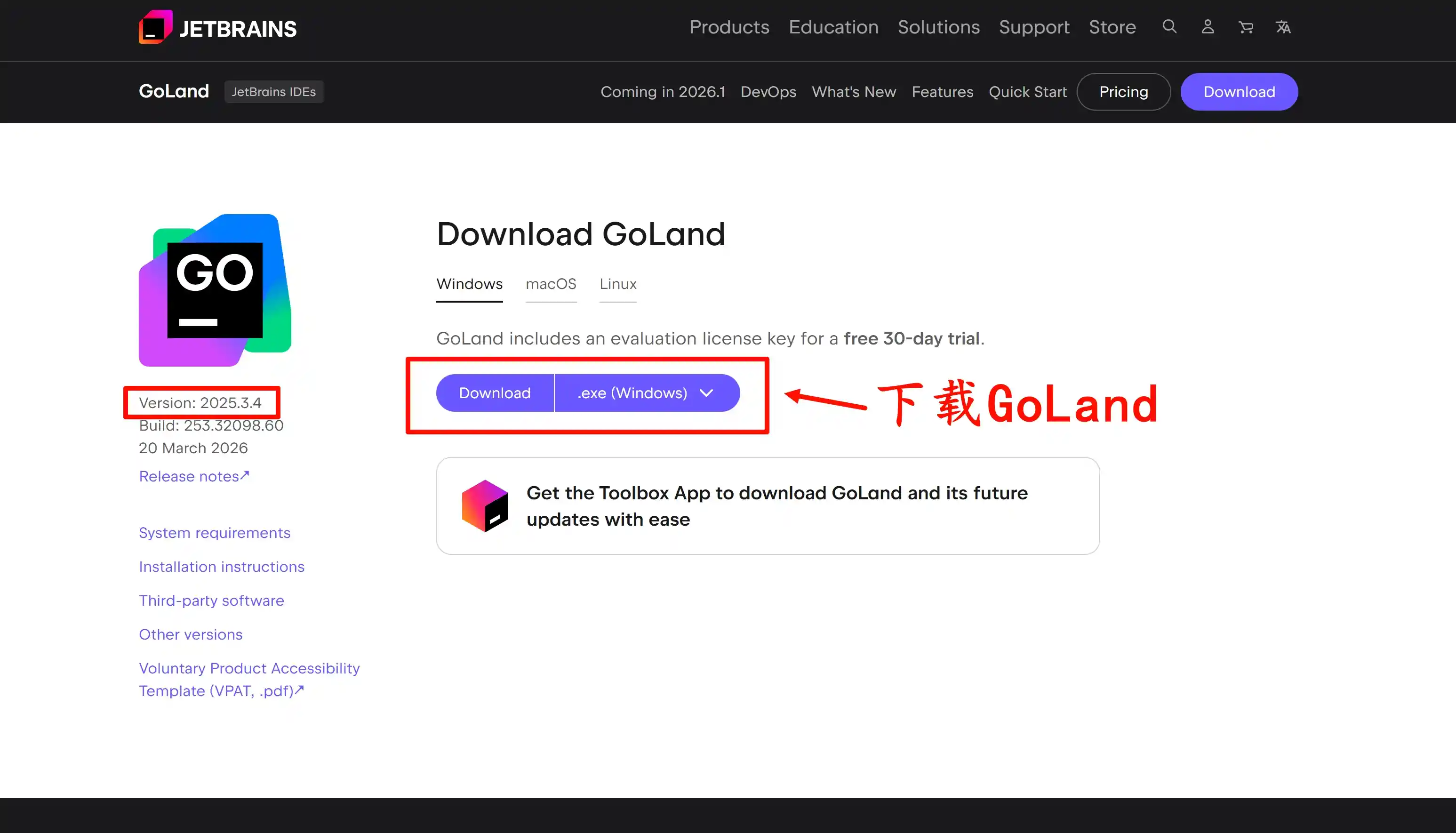 下载 GoLand 2025.3.4 版本安装包