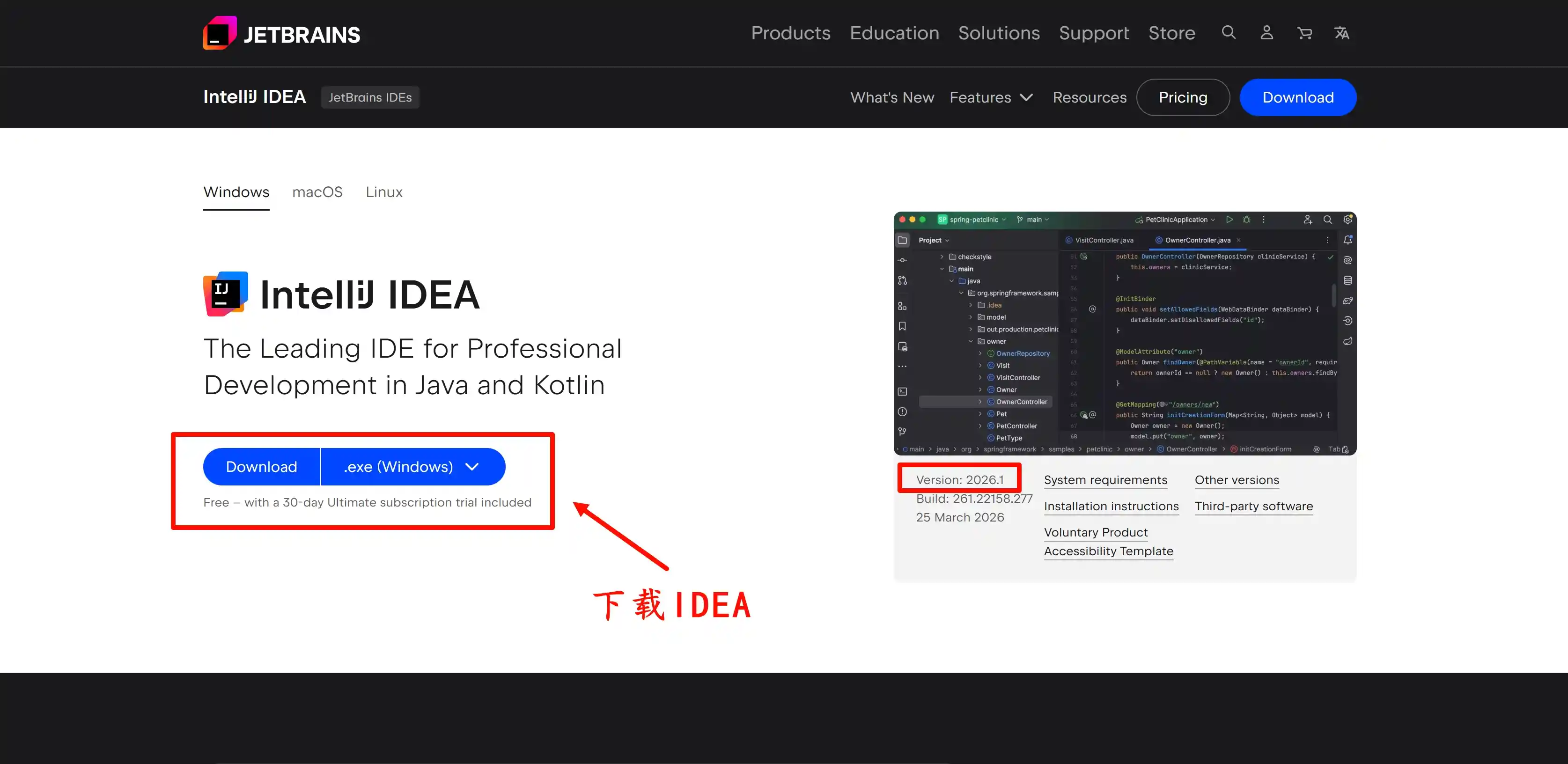 下载 IDEA 2026.1 版本安装包