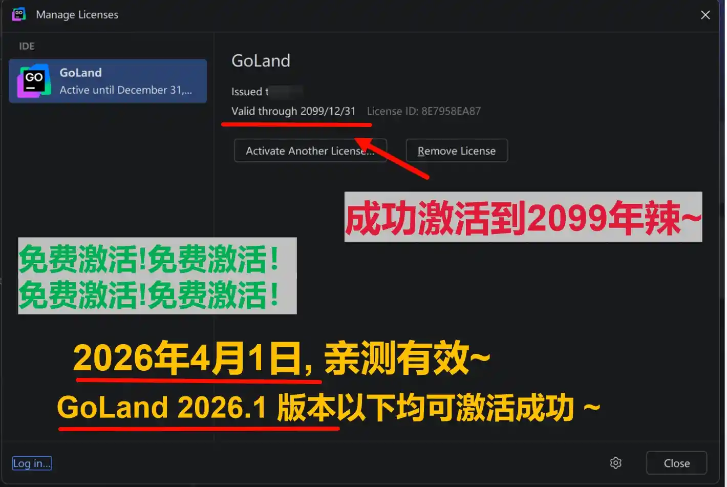GoLand 2026.1 版本成功截图