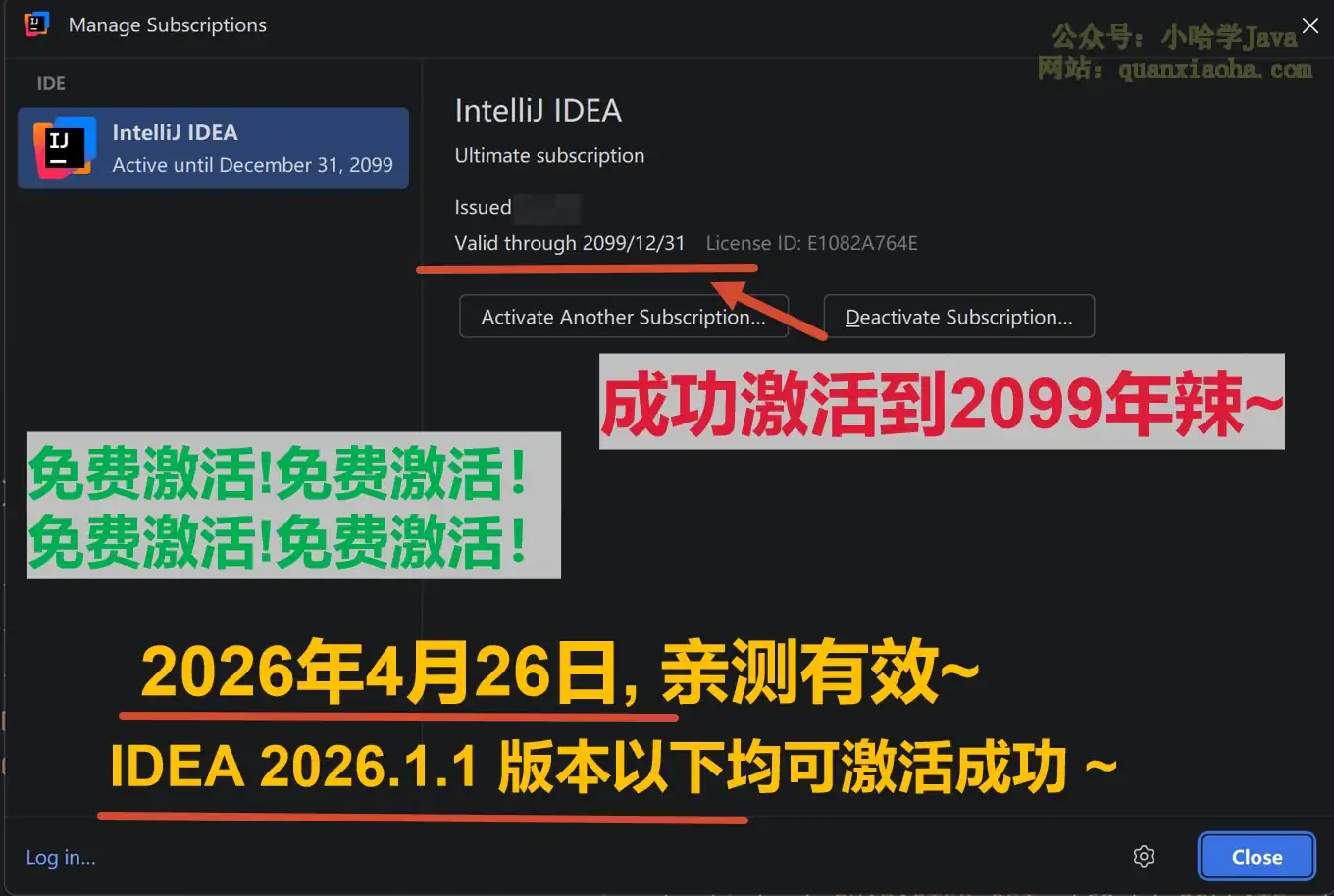 IDEA 2026.1.1 版本成功激活到 2099 年截图
