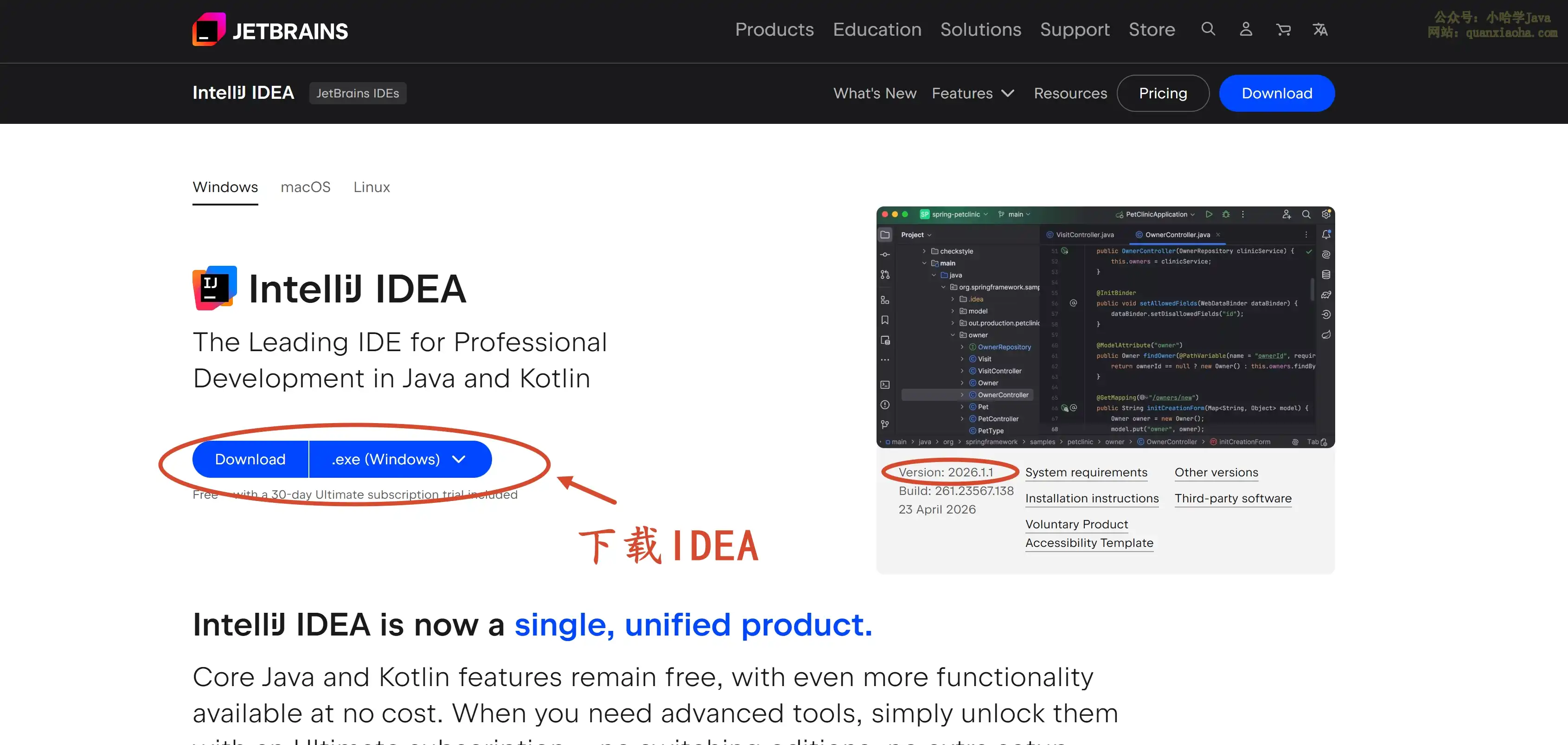 下载 IDEA 2026.1.1 版本安装包